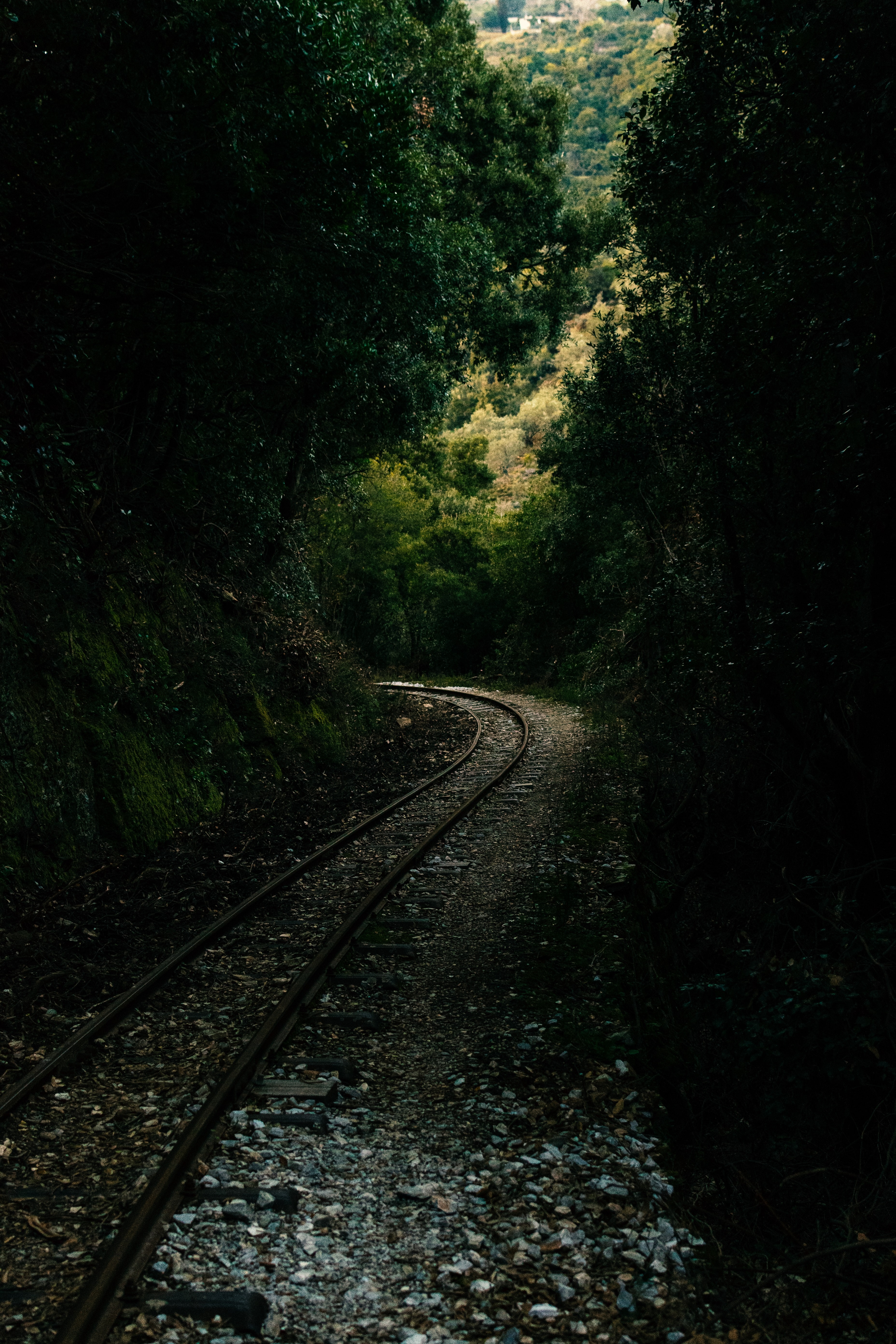 alley, rails, railway, nature, forest 4K