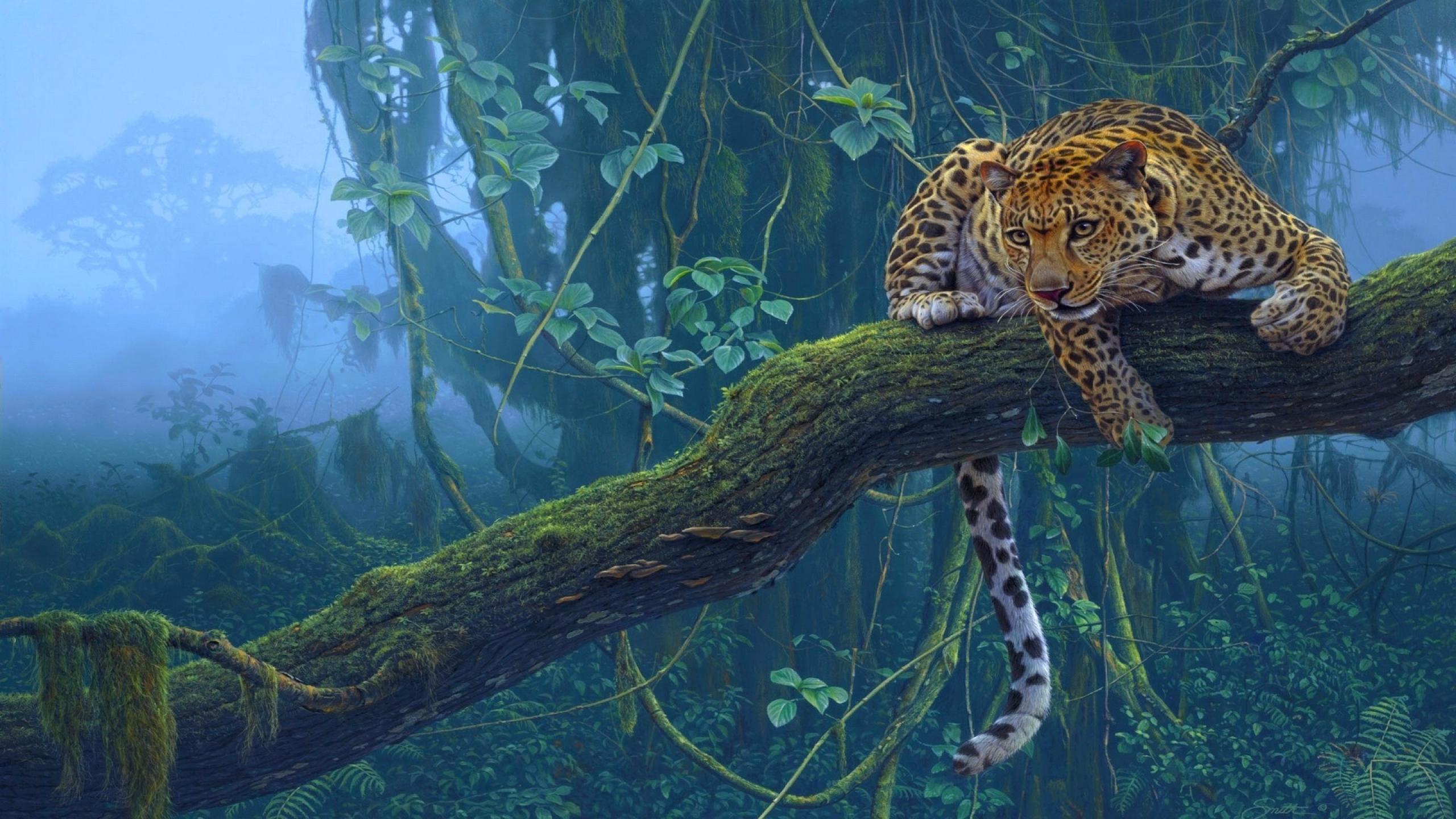 branch, rainforest, leopard, animal, fog, jungle, cats for android