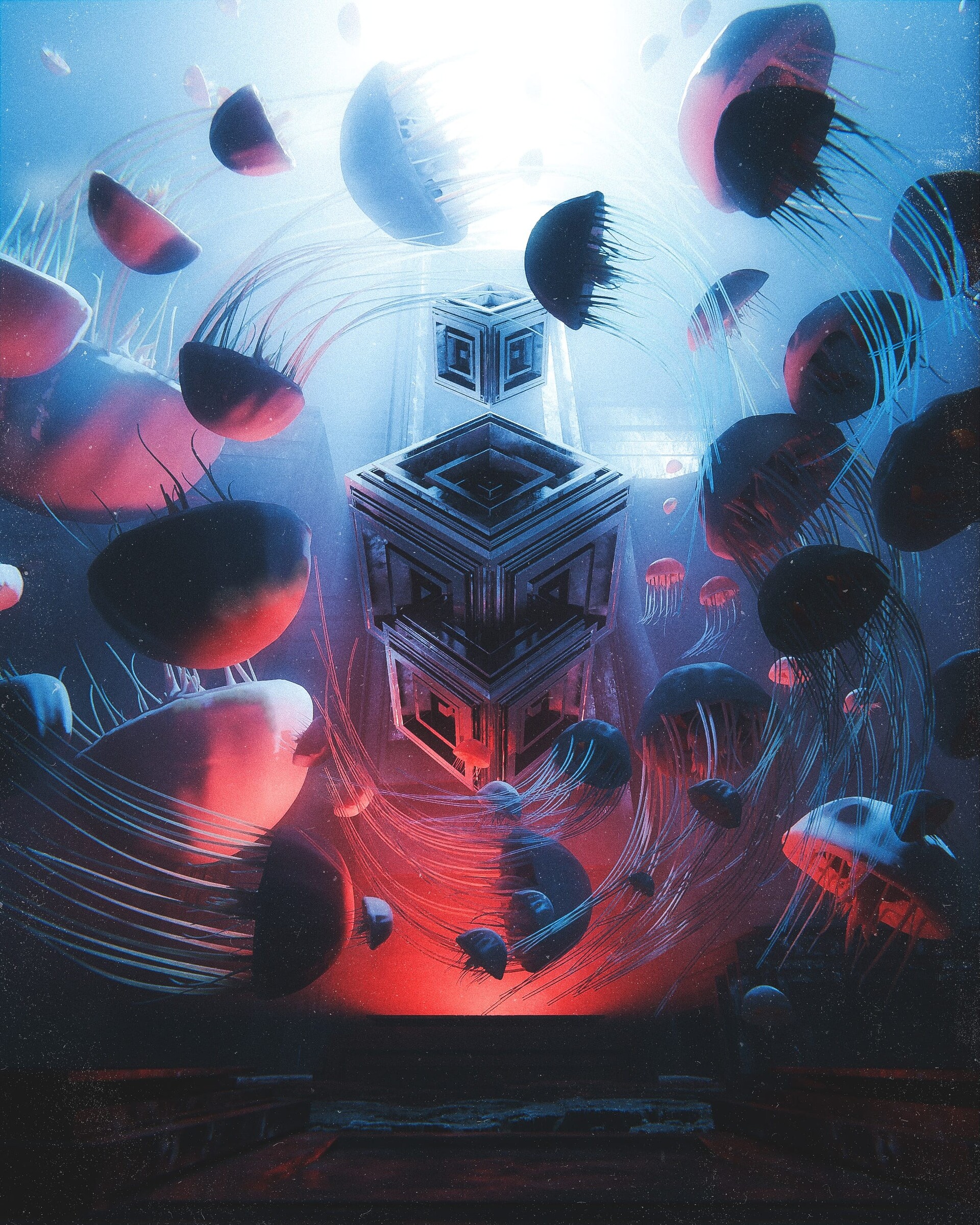 Cool HD Wallpaper cuba, miscellaneous, miscellanea, jellyfish