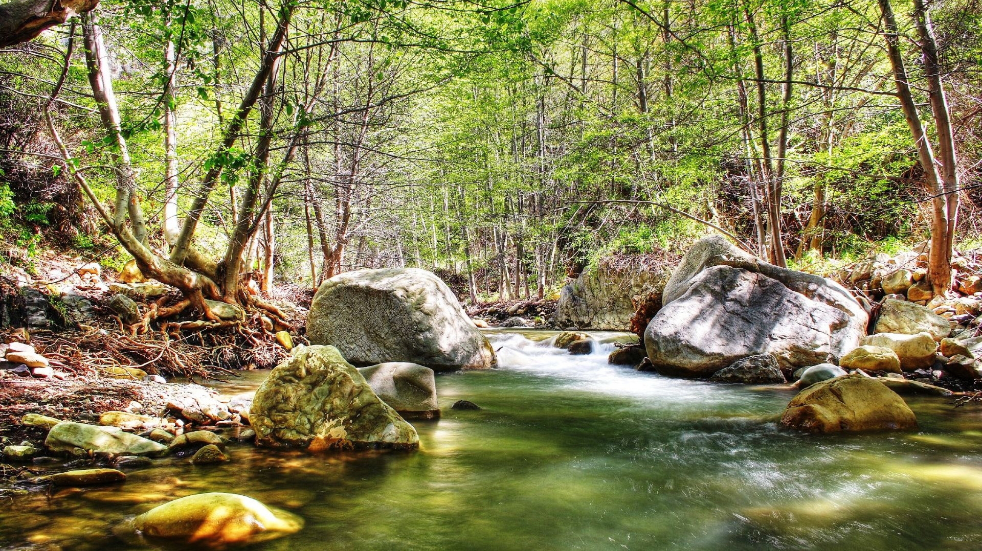 Laden Sie das Flüsse, Natur, Stones, Wald, Fließen, Fluss-Bild kostenlos auf Ihren PC-Desktop herunter