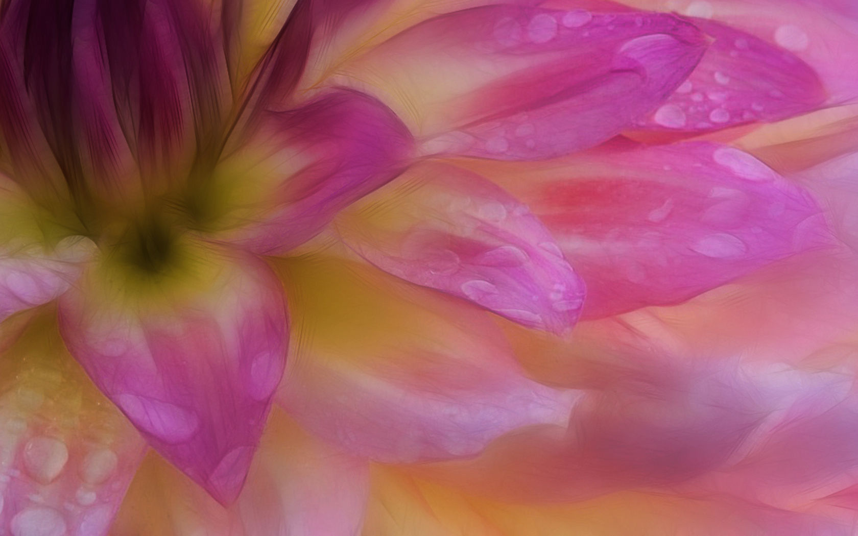 Wallpaper for mobile devices pastel, flower, flowers