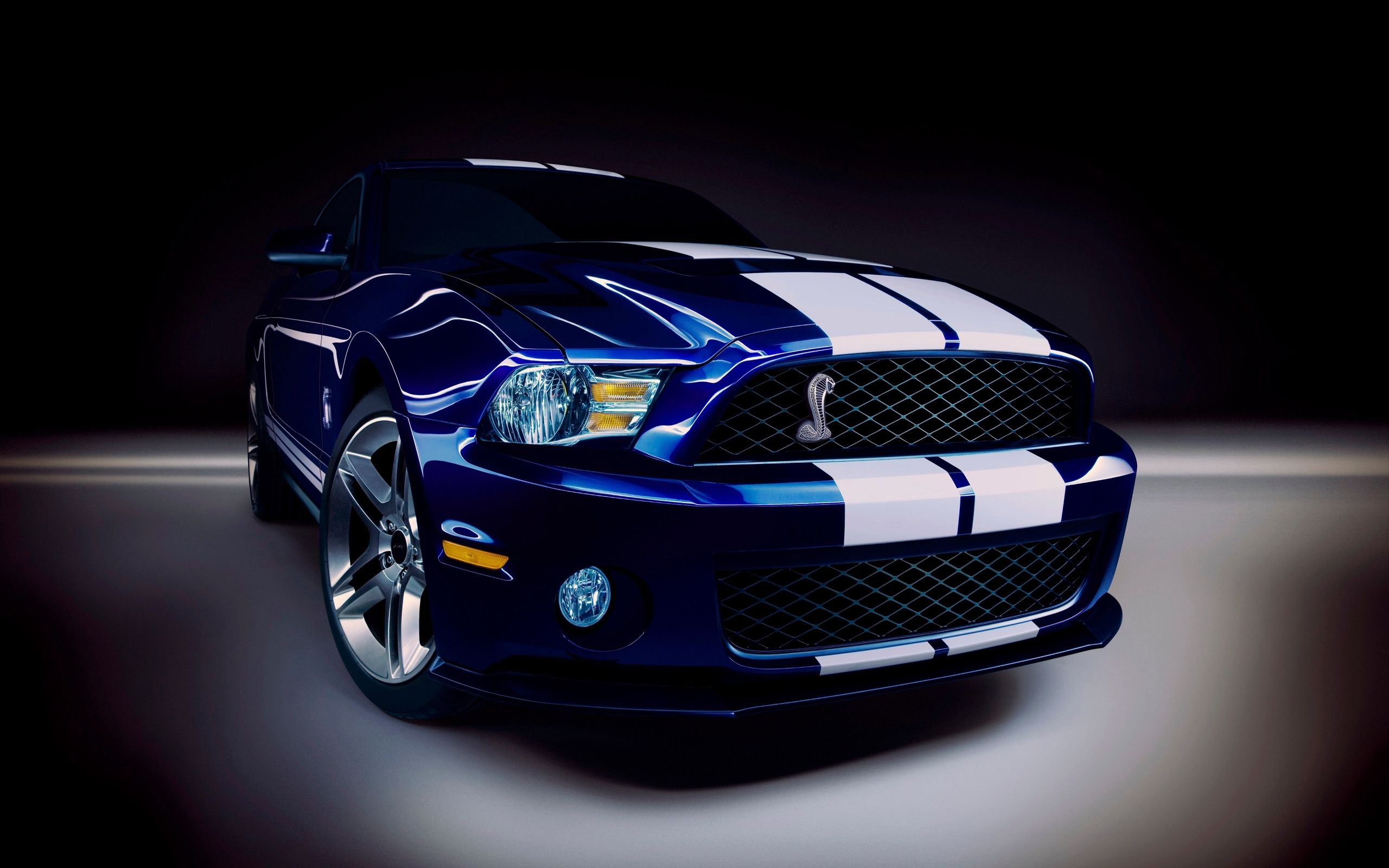24563 download wallpaper transport, auto, mustang, black screensavers and pictures for free