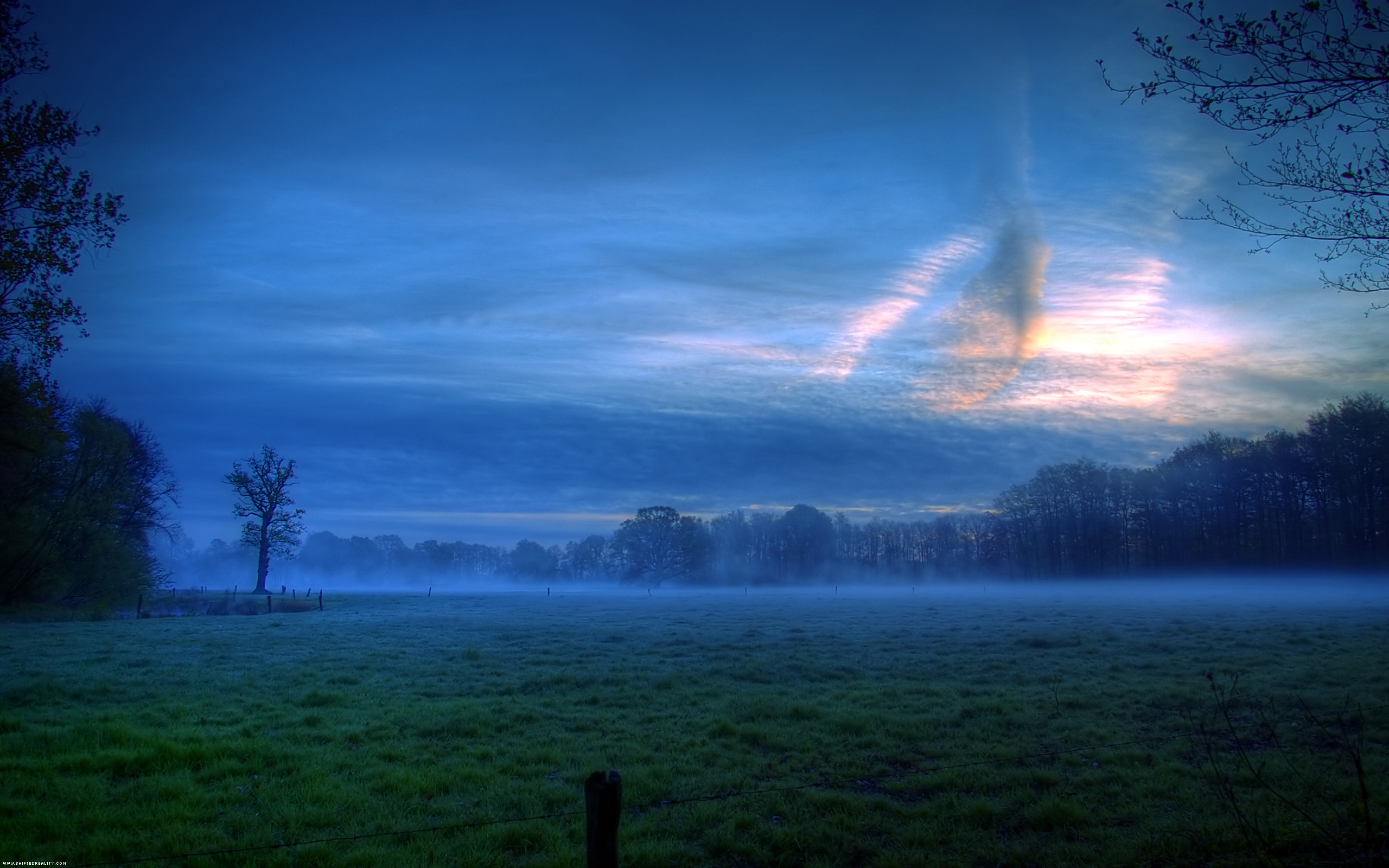 green, earth, field, cloud, dusk, fog, tree
