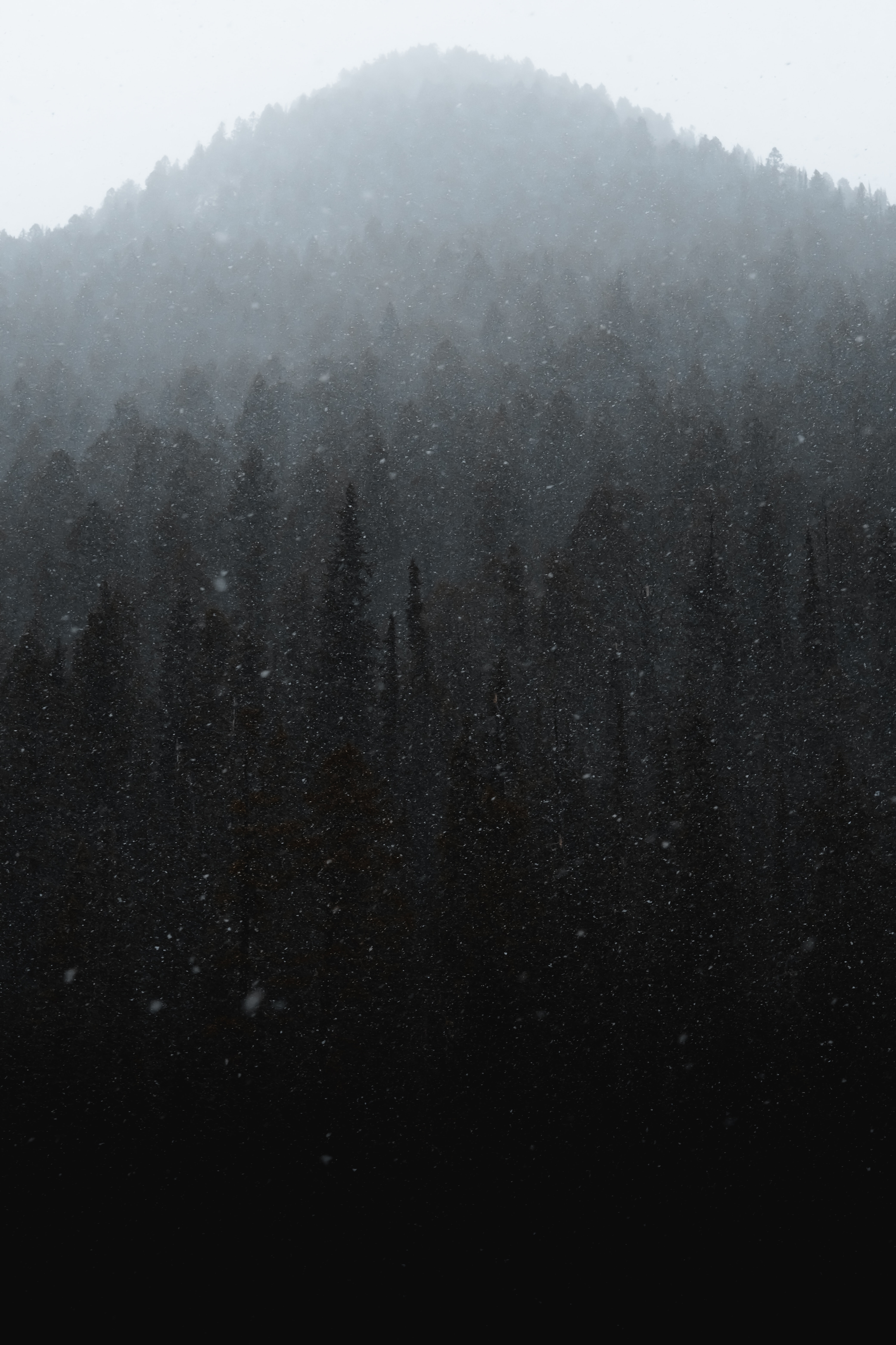 winter, mountain, snow, forest 4K iPhone