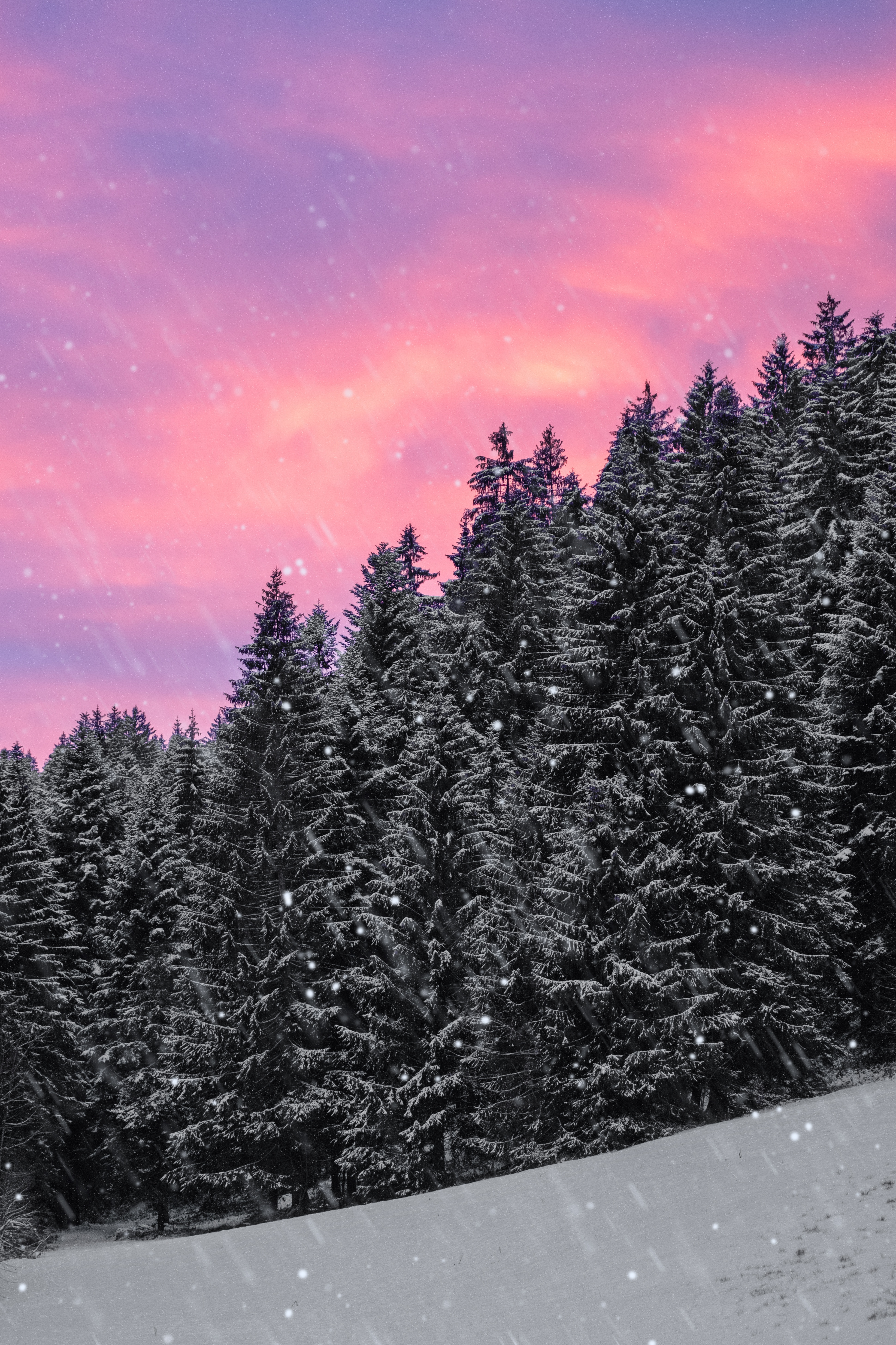 Download Phone wallpaper sky, forest, snow, snowfall
