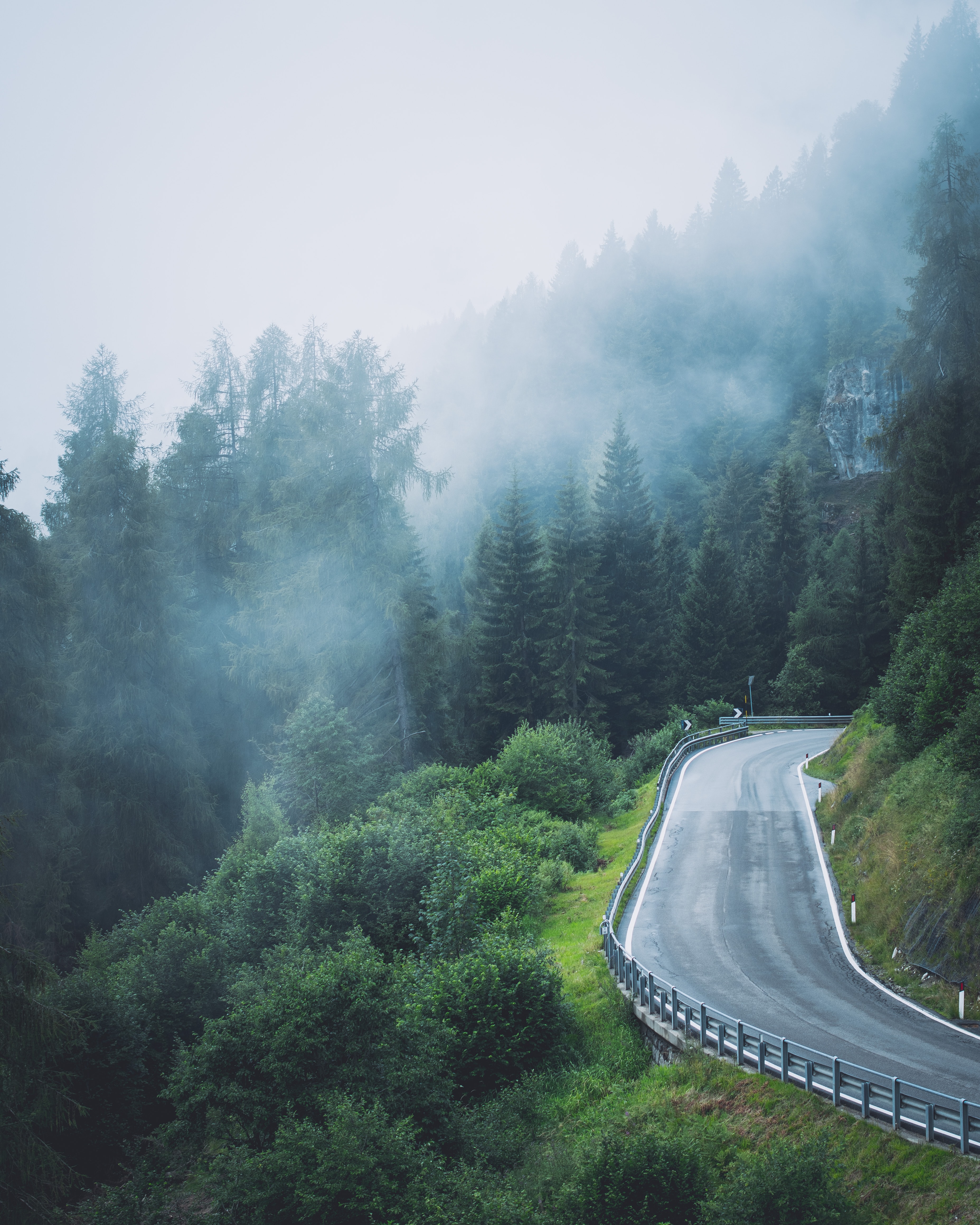 slope, nature, trees, road, fog