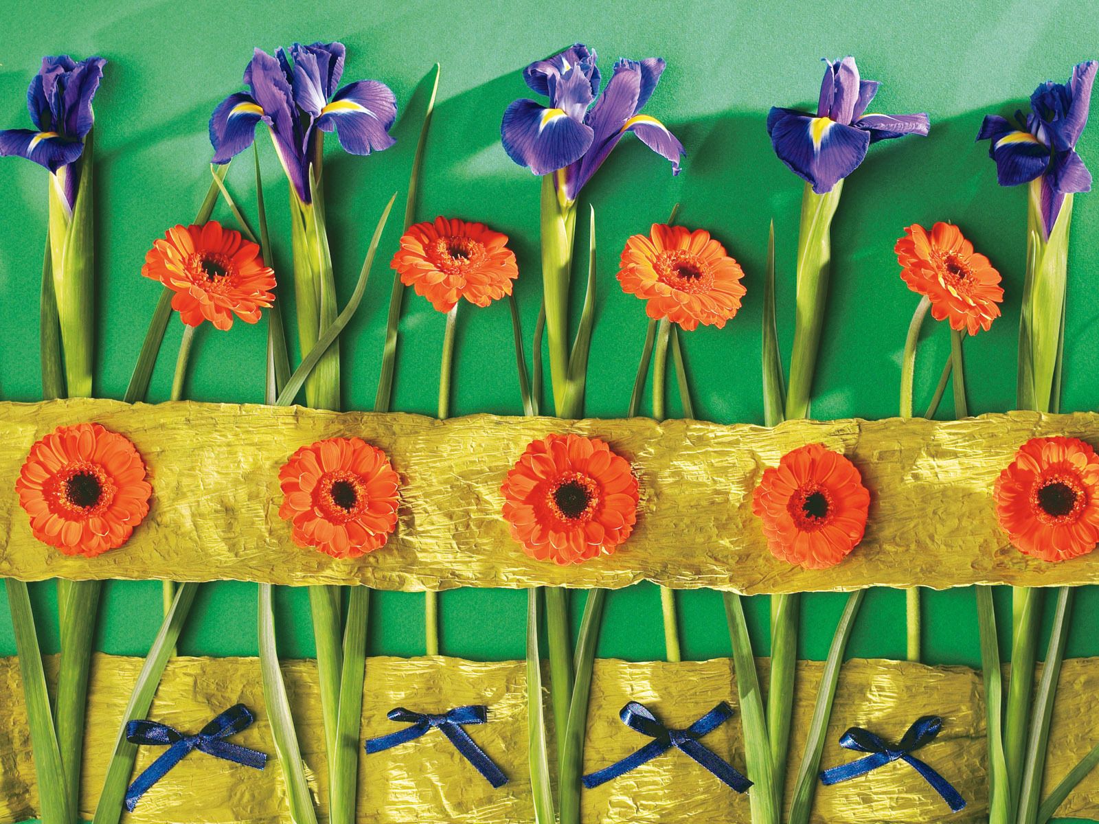 bows, irises, gerberas, wall 3d Wallpaper