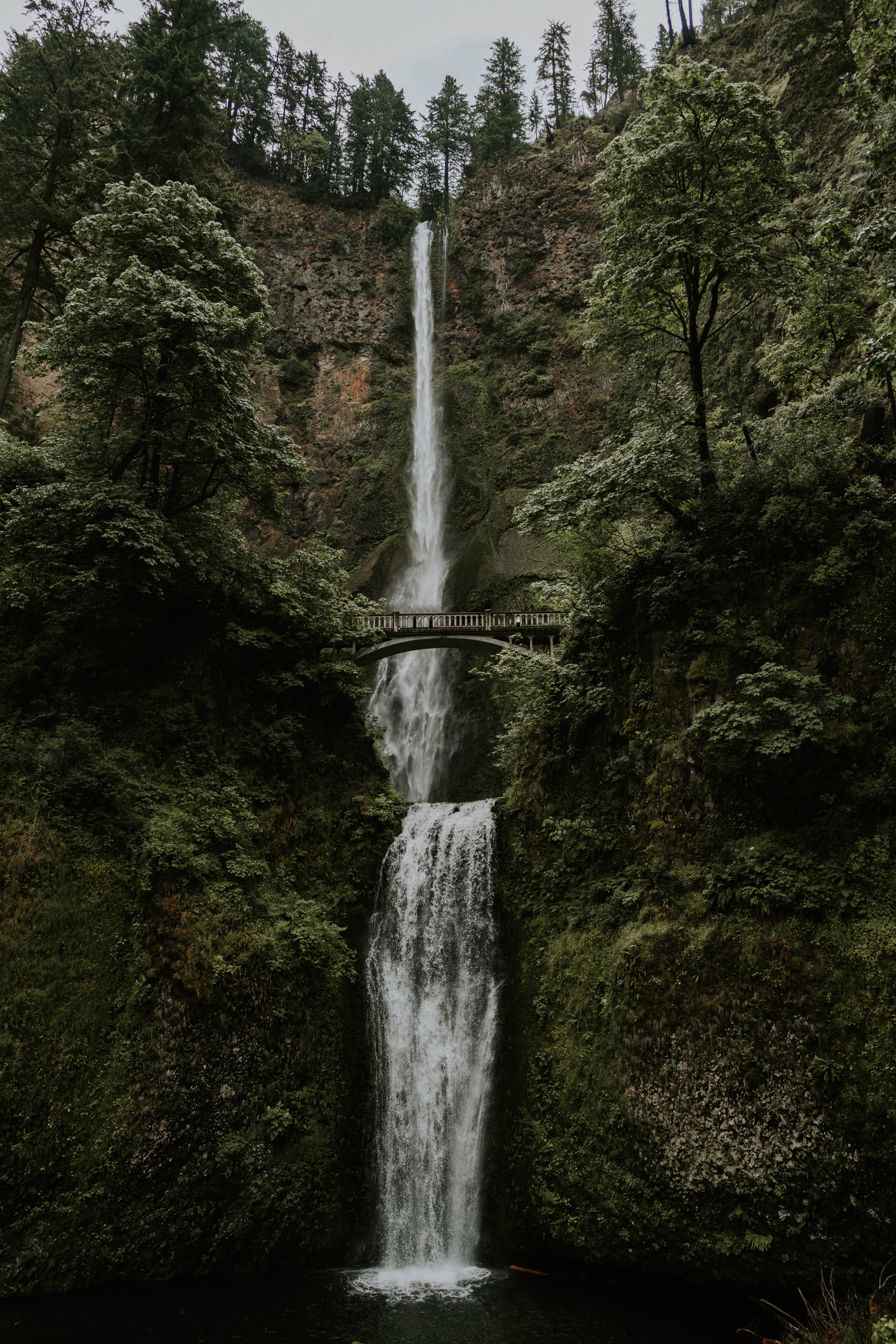 bridge, nature, water, trees, waterfall, break, precipice Phone Background