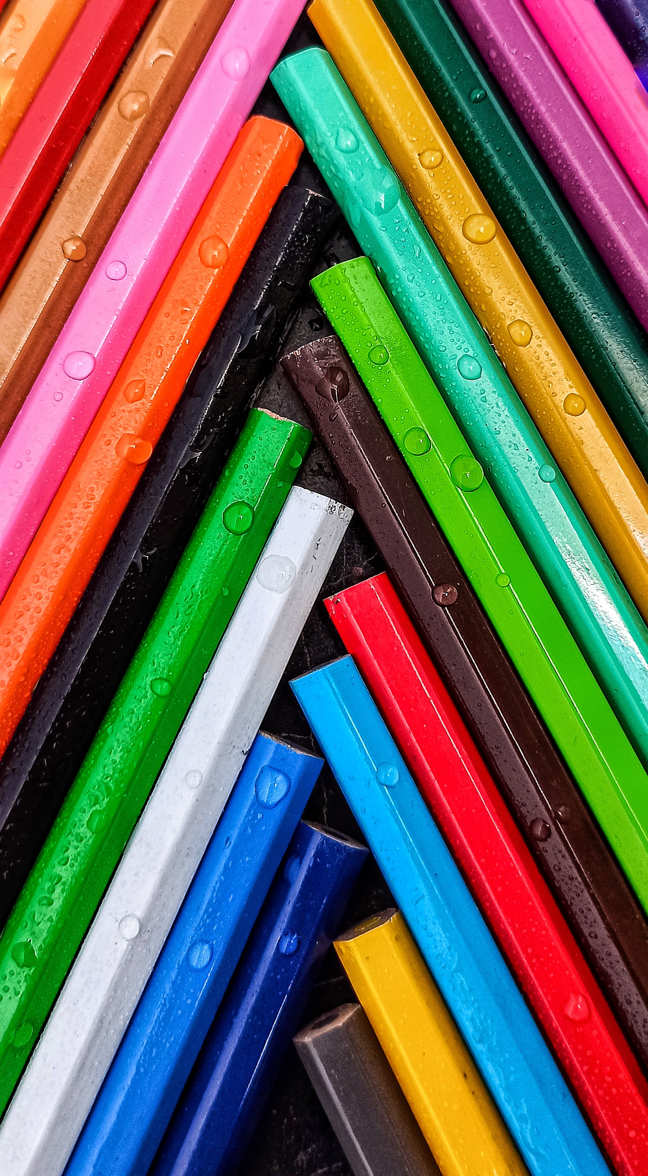 macro, pencils, drops, multicolored, motley, wet