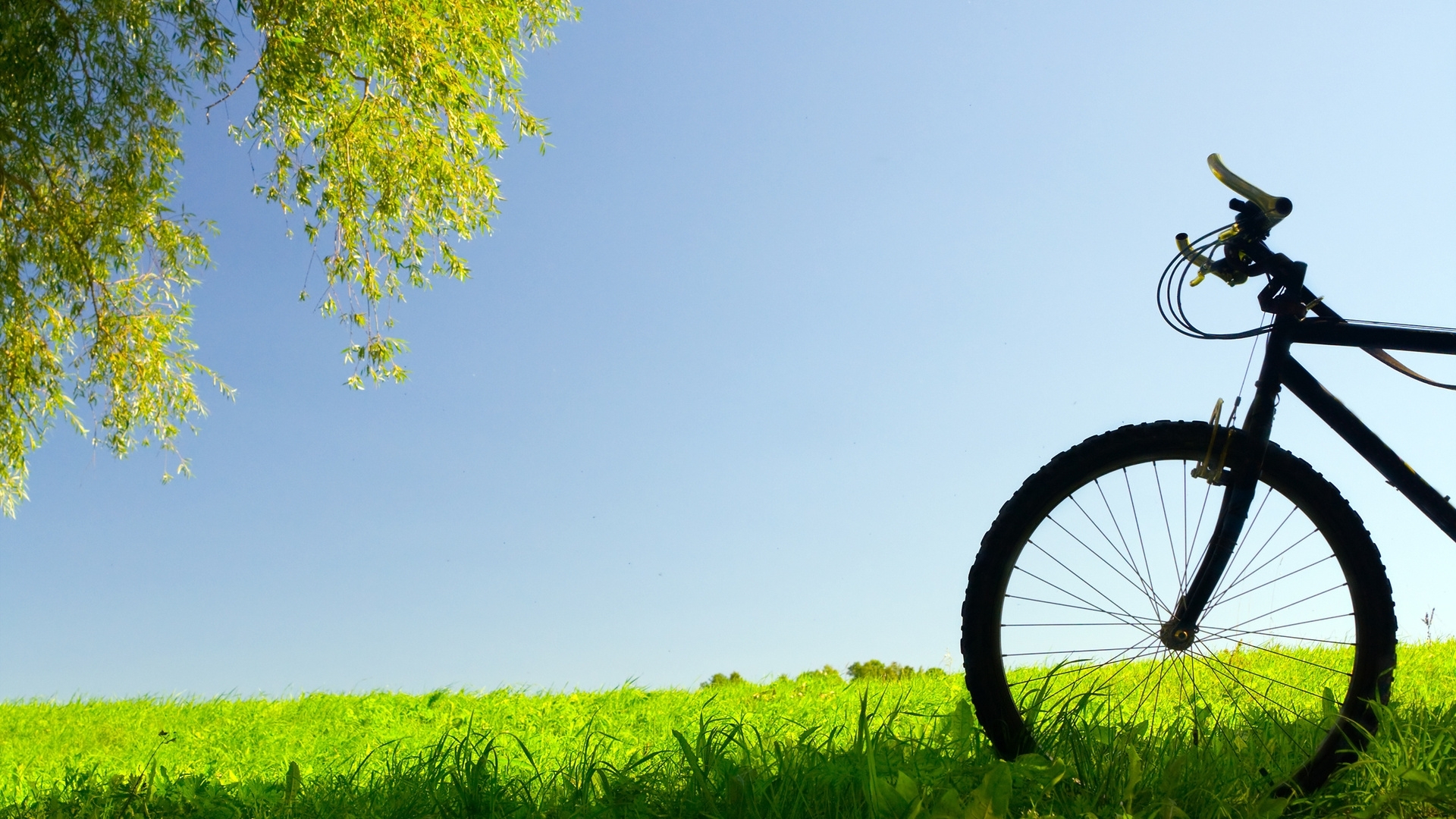 blue, transport, landscape Bicycles HD Android Wallpapers