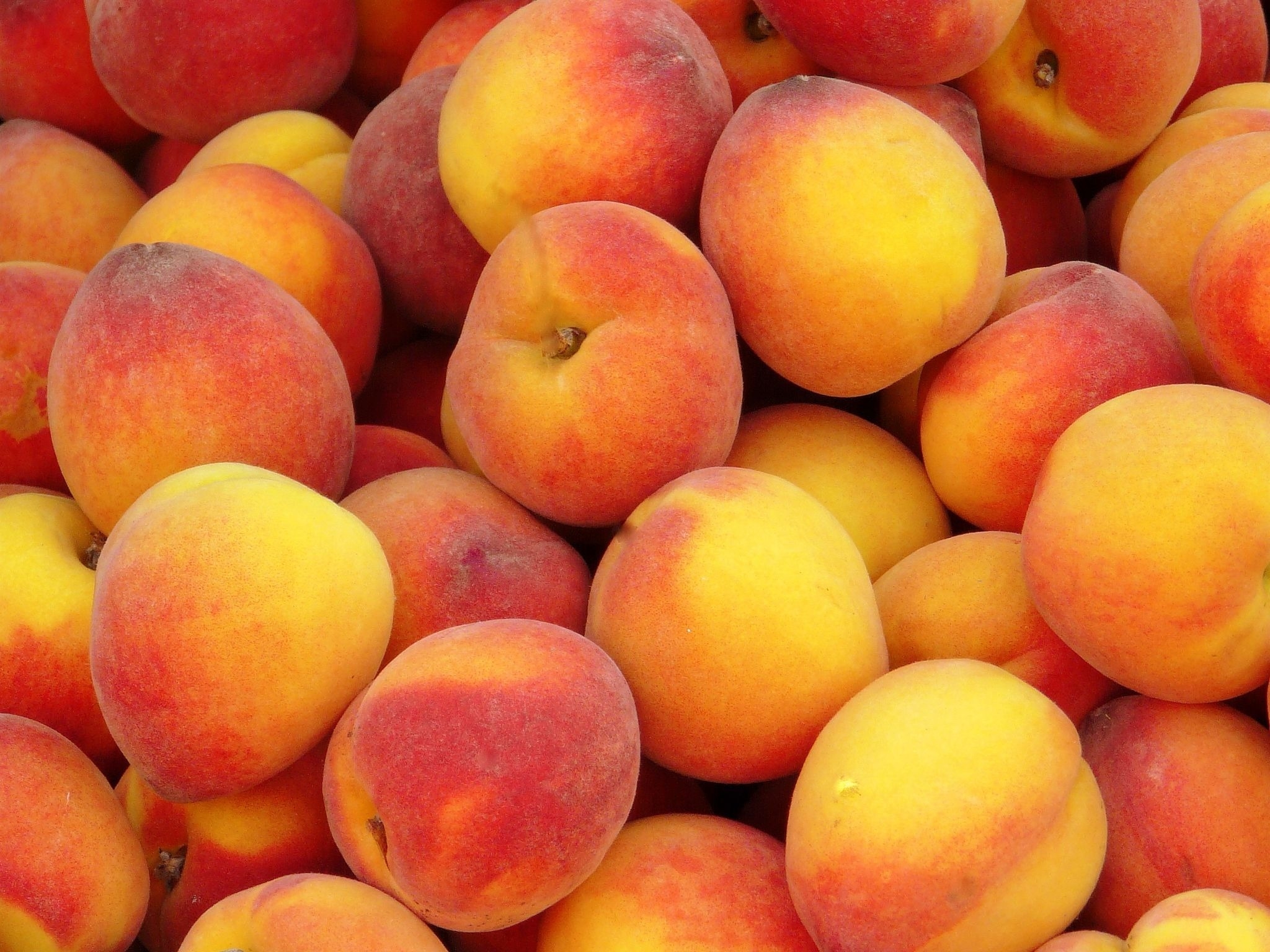 Free Images ripe, food, fruits, background Peaches