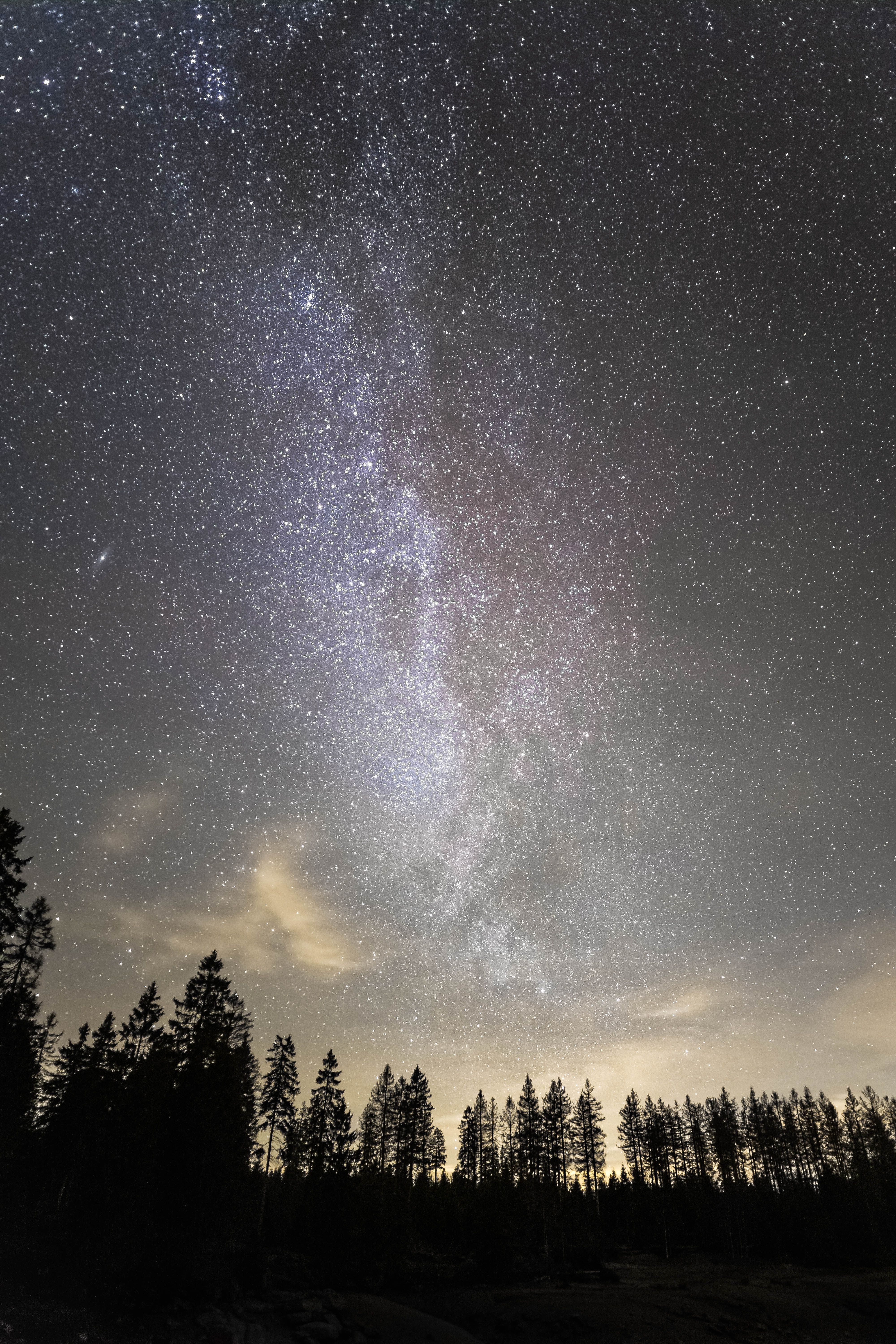 Milky Way starry sky, nature, trees, night Lock Screen