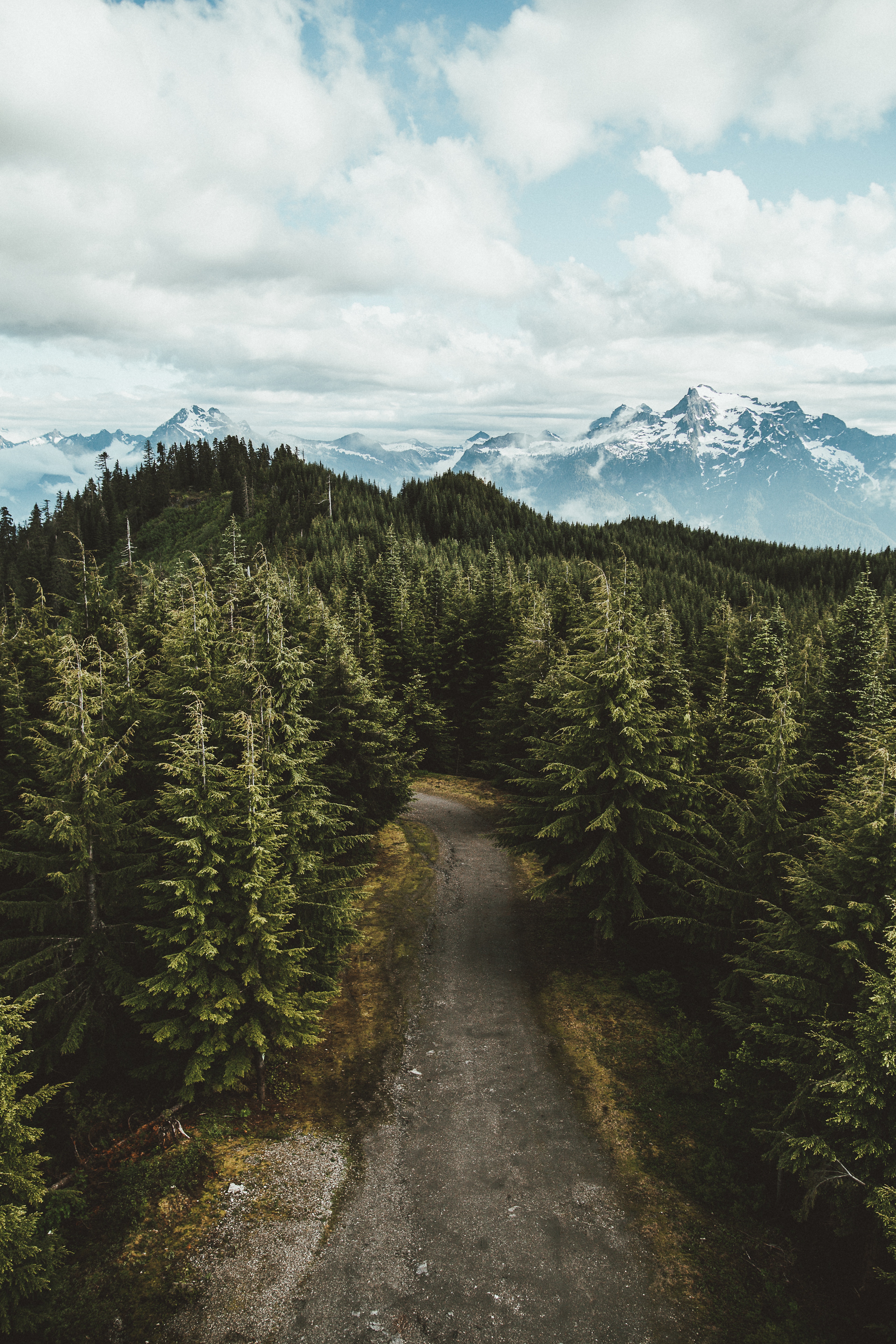 usa, landscape, nature, trees, sky, mountains, view from above, road, united states, darrington 5K