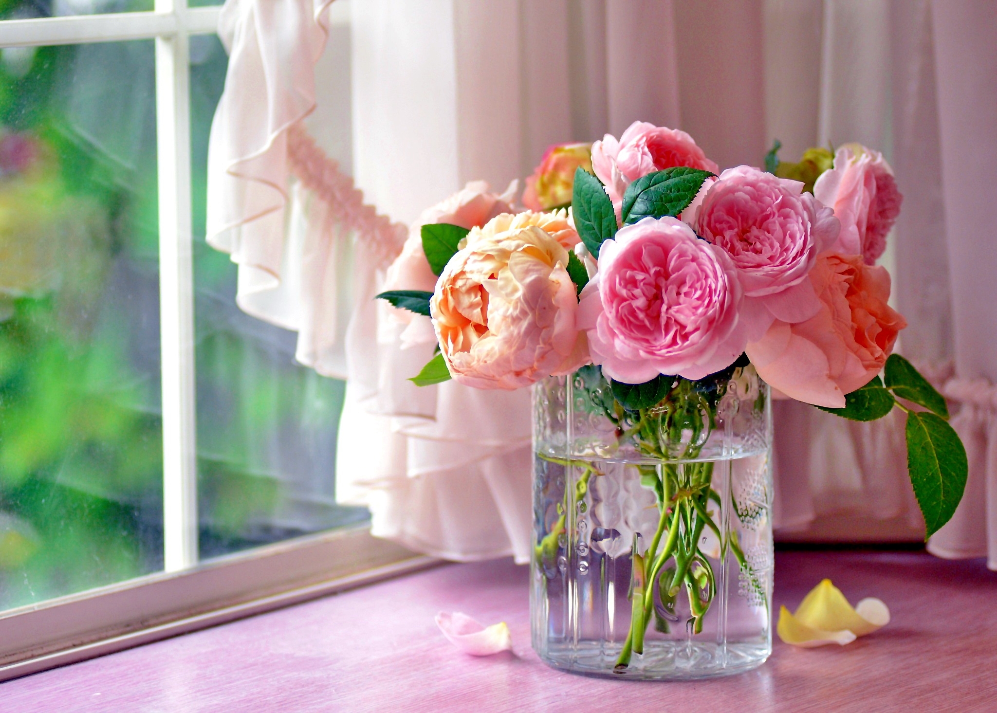741011壁紙のダウンロード窓, マンメイド, 花, カーテン, ピンクの花, 薔薇, 花瓶-スクリーンセーバーと写真を無料で