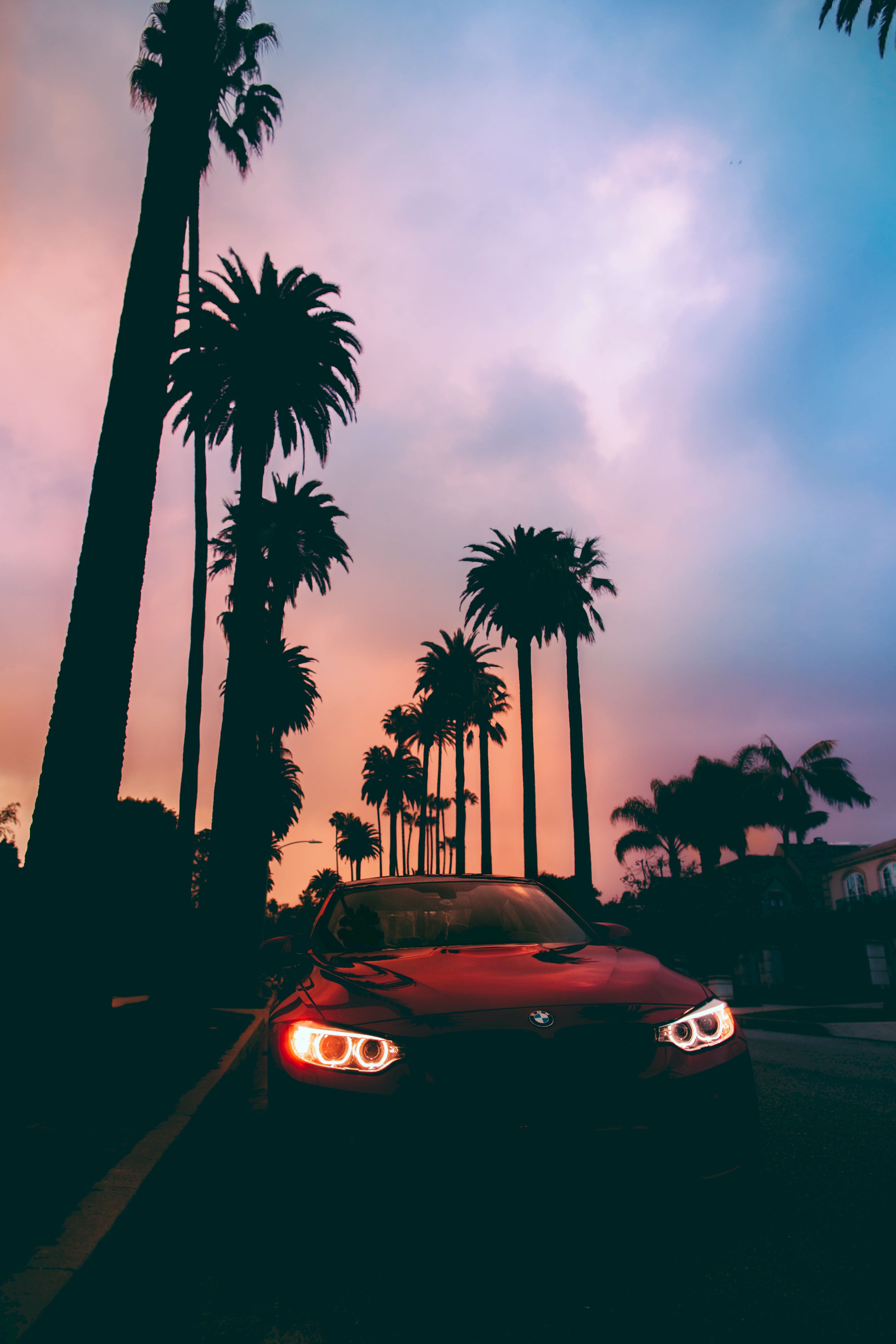 front view, palms, bmw, sunset, cars, bmw 3 1080p