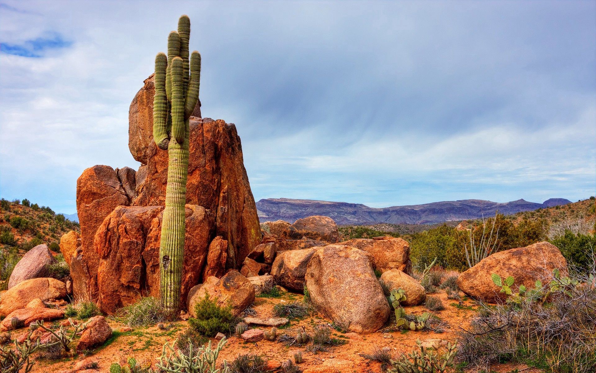 73709 Bildschirmschoner und Hintergrundbilder Kaktus auf Ihrem Telefon. Laden Sie natur, stones, sky, mountains, kaktus Bilder kostenlos herunter