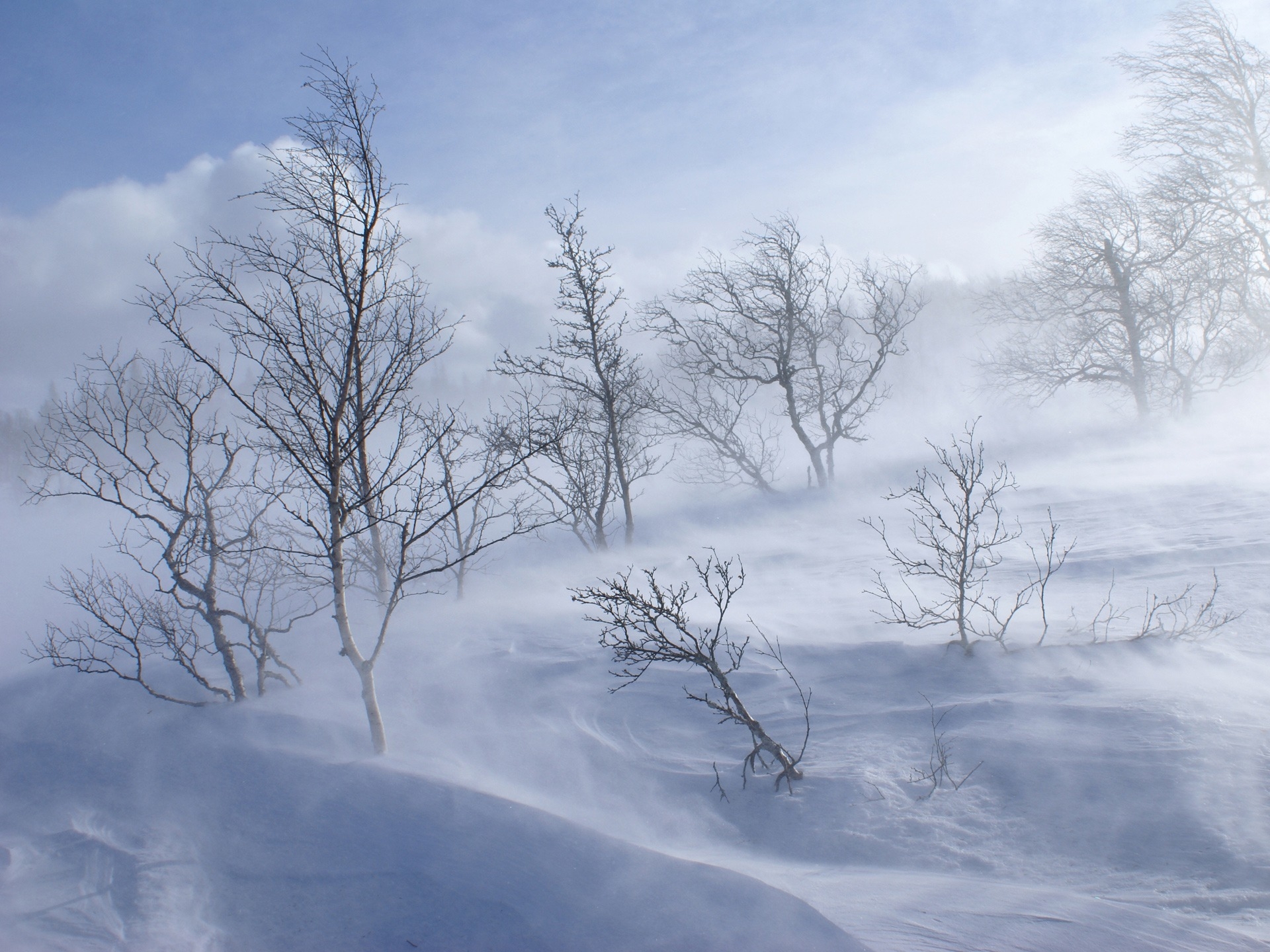 105360 Bildschirmschoner und Hintergrundbilder Schneesturm auf Ihrem Telefon. Laden Sie schnee, mountains, bäume, natur Bilder kostenlos herunter