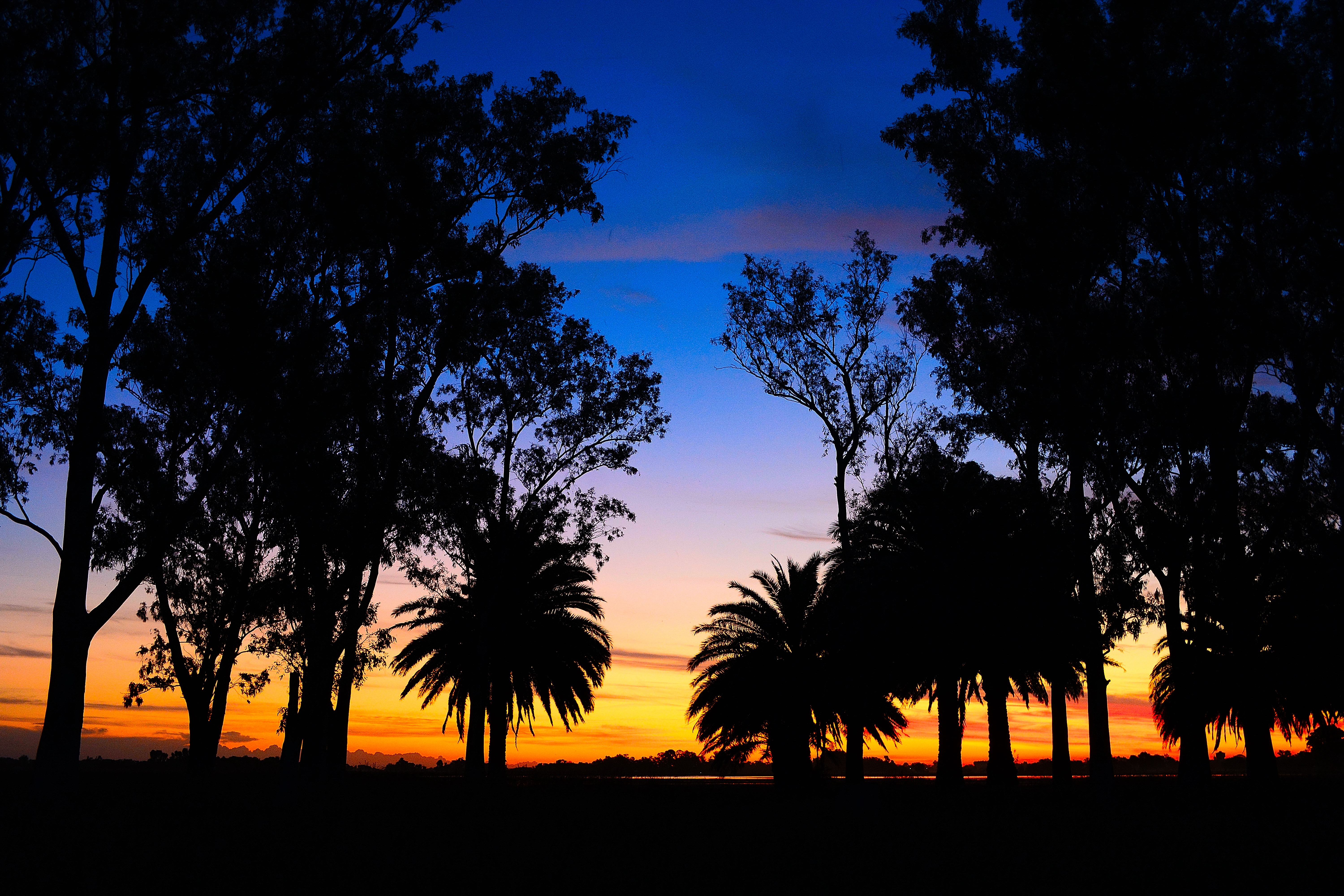 Laden Sie das Landschaft, Sunset, Palms, Dunkel, Lagune-Bild kostenlos auf Ihren PC-Desktop herunter