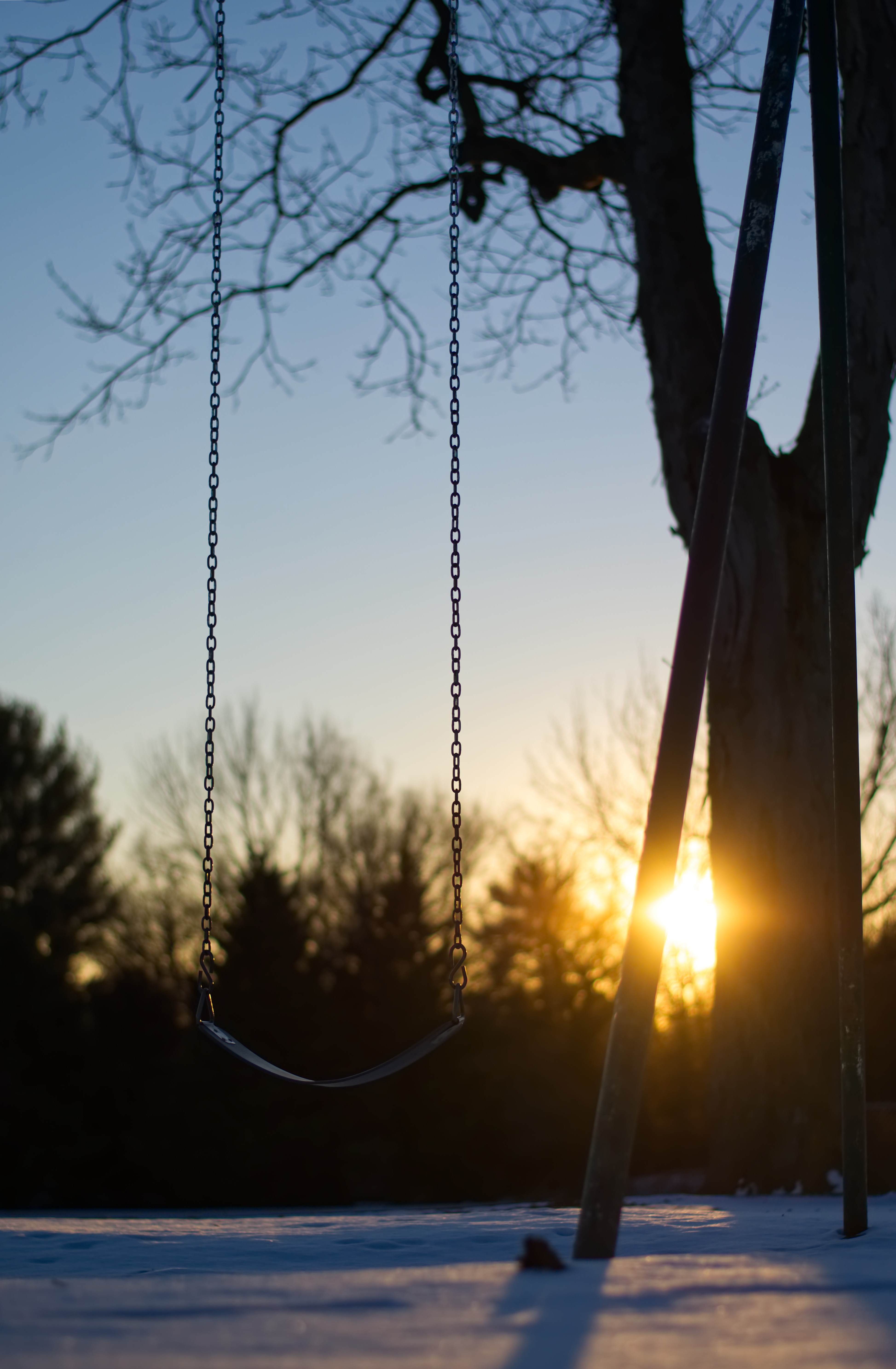 sunset, smooth, winter, miscellanea, miscellaneous, wood, tree, blur, swing High Definition image
