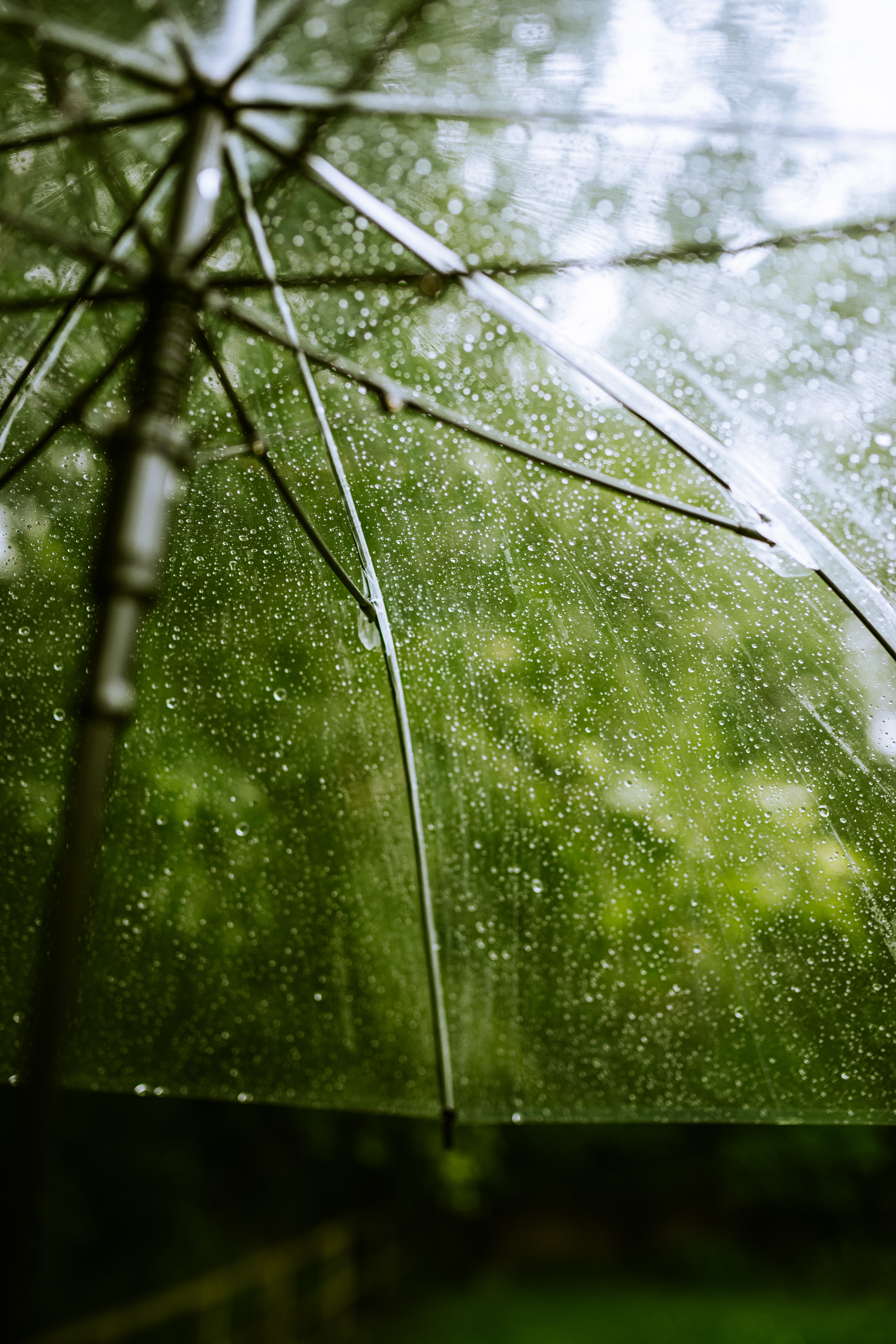 rain, drops, transparent, macro, umbrella