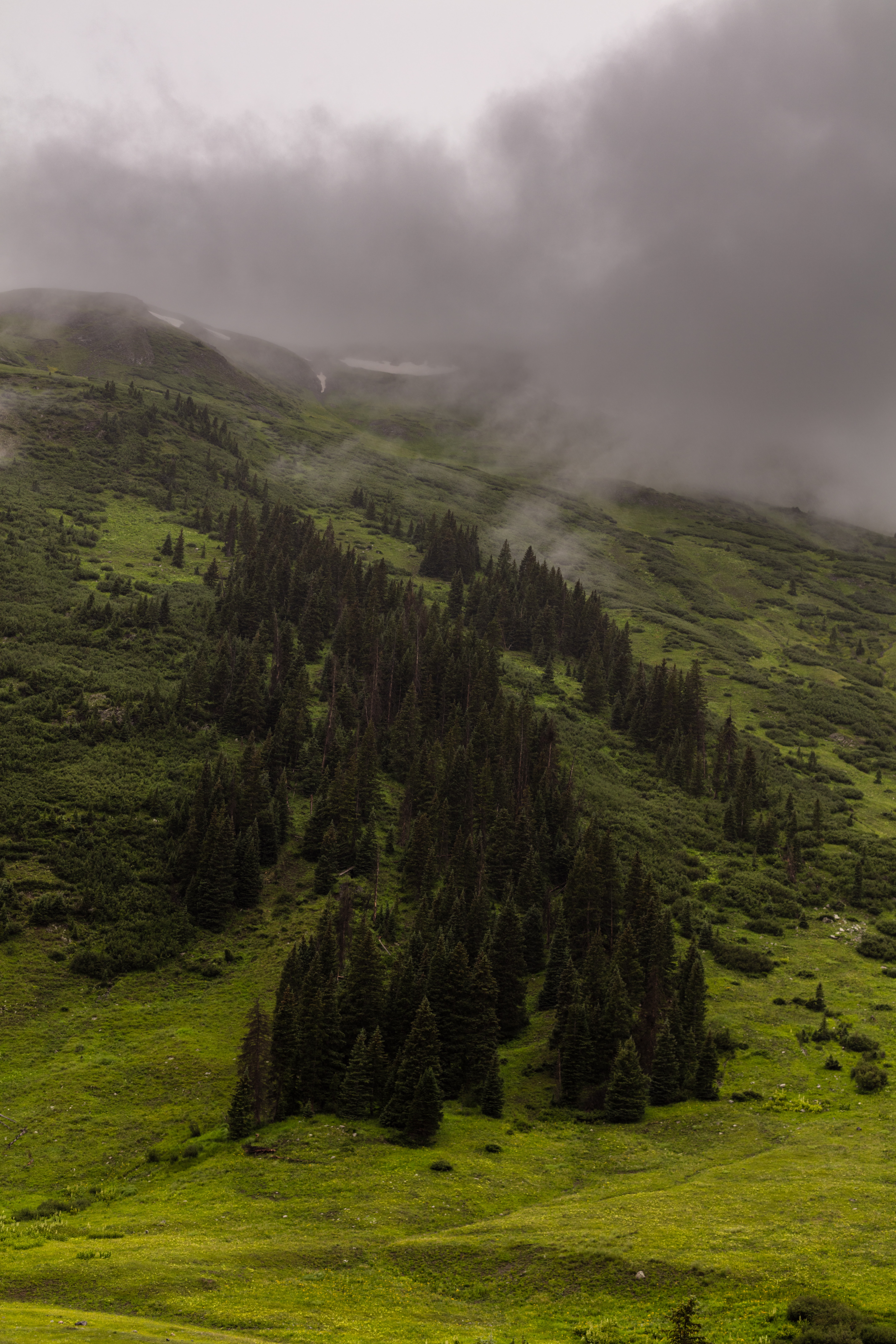 fog, nature, trees, mountains, clouds, slope