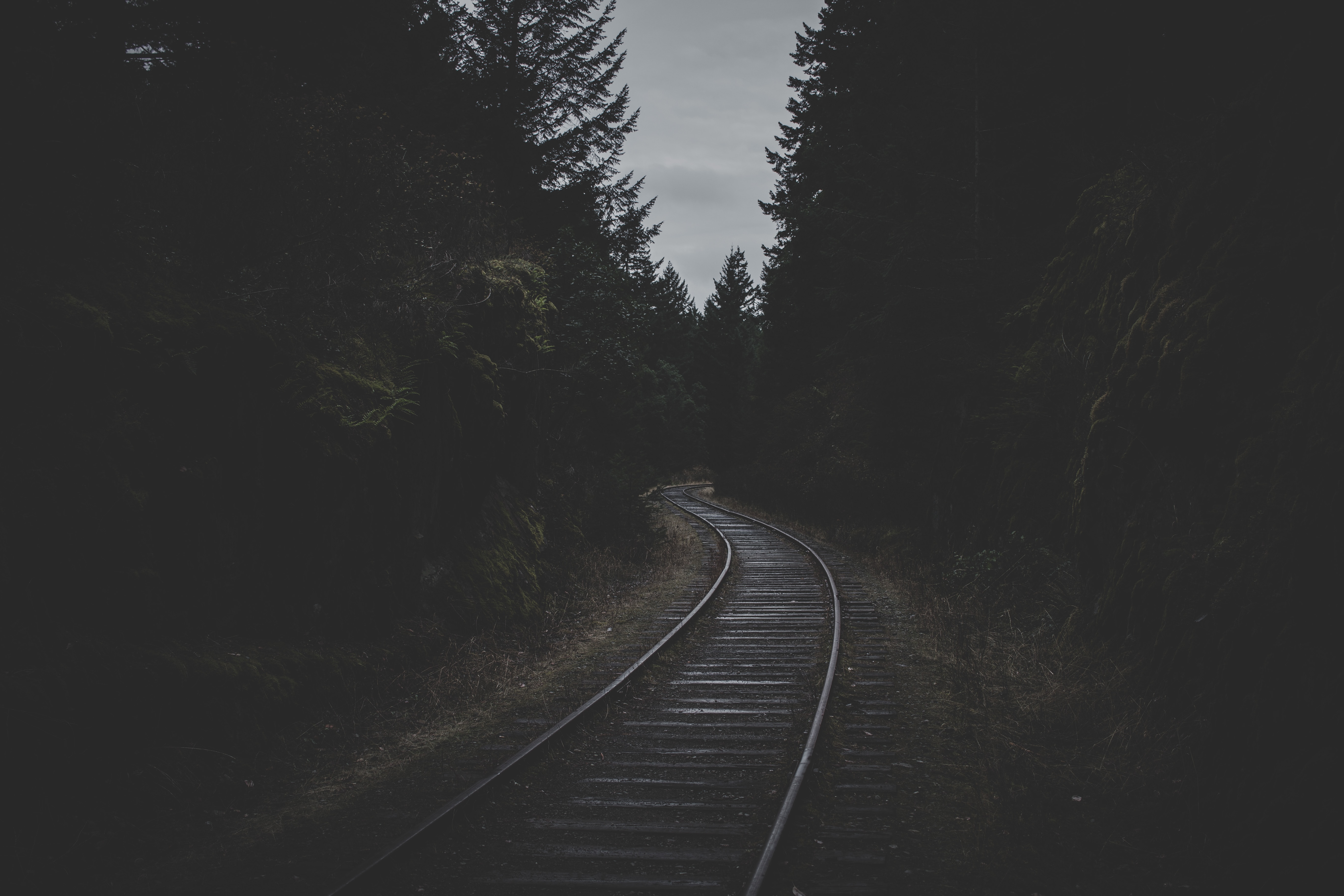 black, dark, rails, trees, twilight, dusk, railway Full HD
