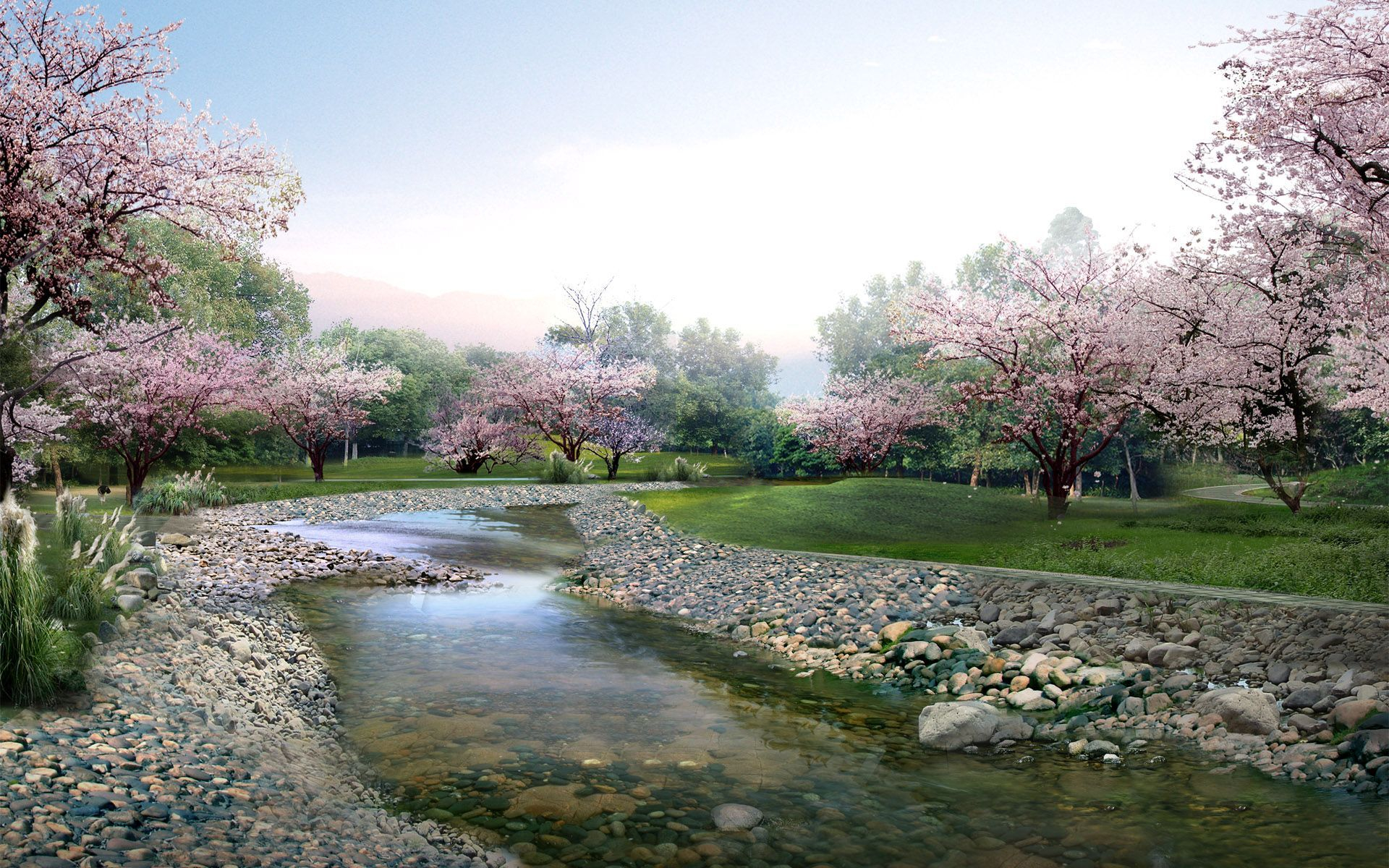 免费下载树, 公园, 樱花, 石头, 溪流, 春季, 河流, 自然, 花簇手机壁纸。