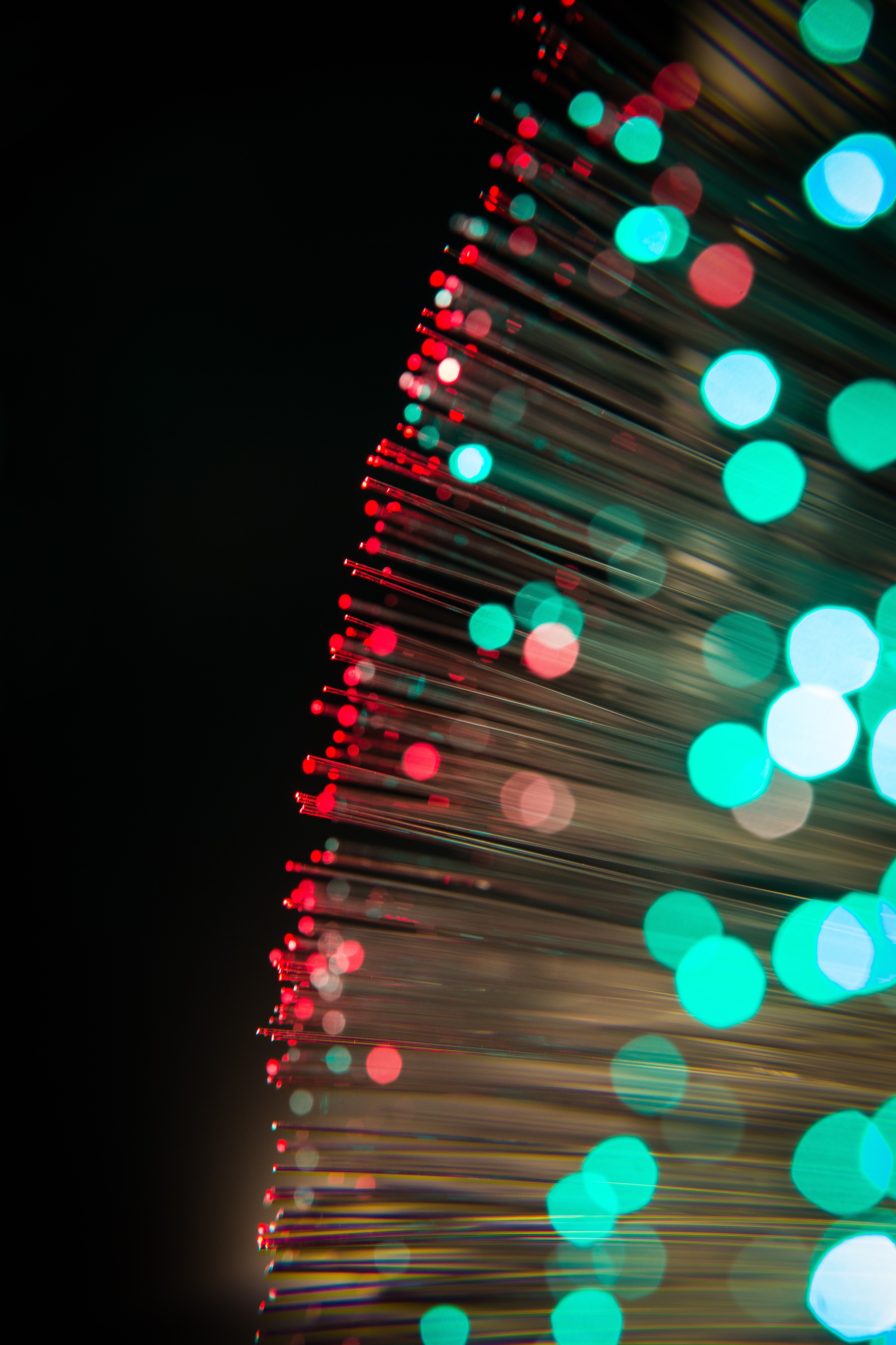 optical fiber, boquet, lights, macro, glare, glow, thread, bokeh