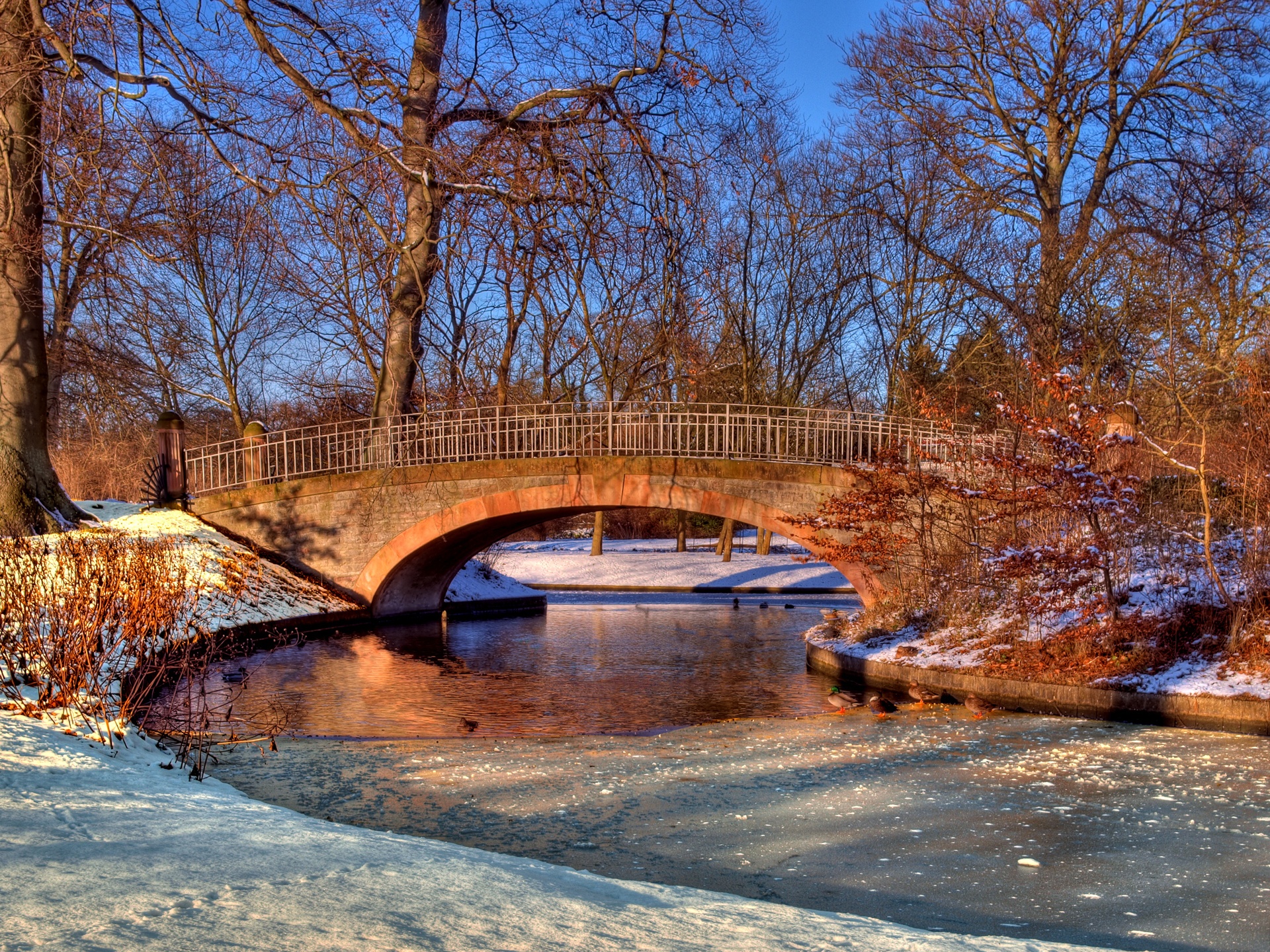 Зимний парк с мостом