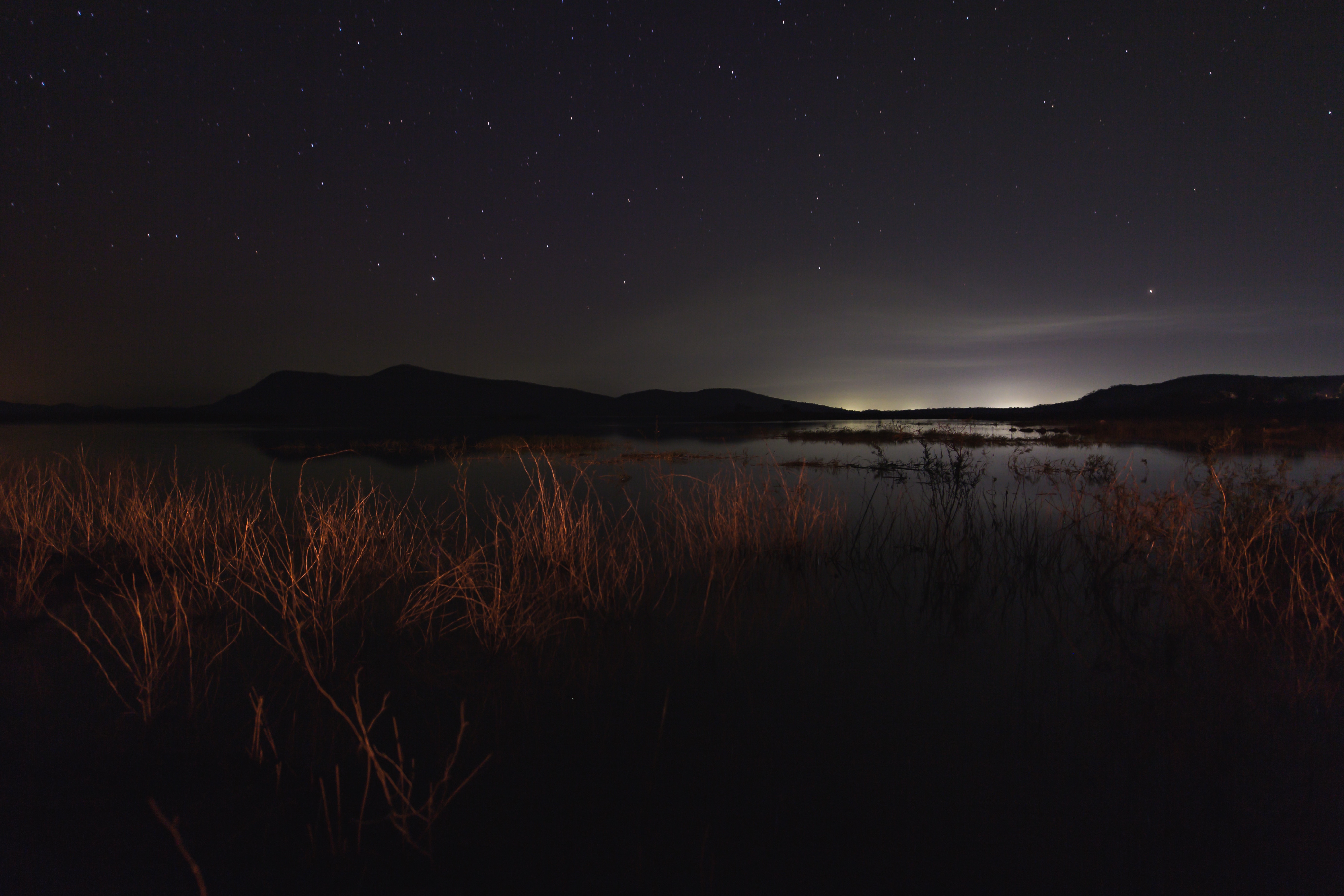 141842 download wallpaper dark, grass, night, lake, starry sky, darkness screensavers and pictures for free