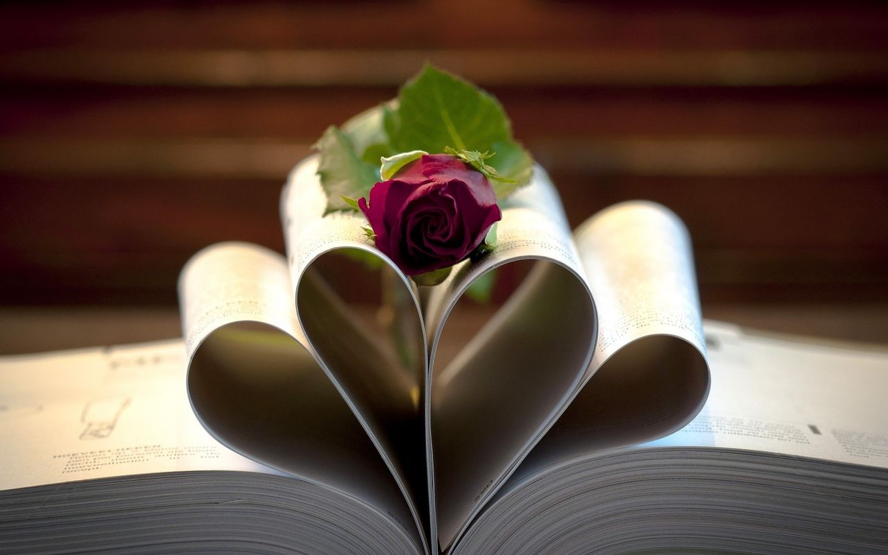 Download mobile wallpaper: Plants, Flowers, Roses, Books, free. 24868.