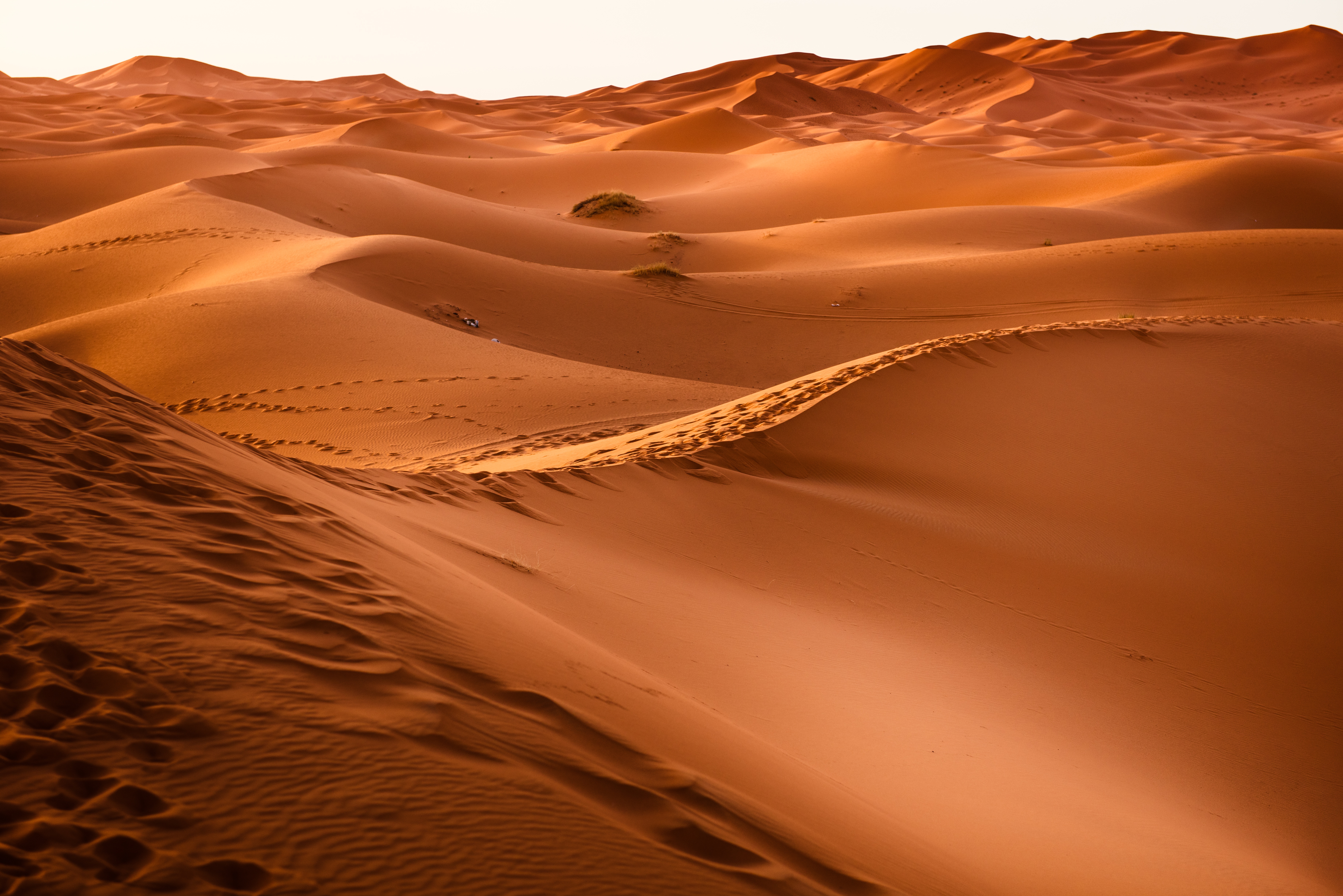 desert, nature, sand, morocco, dune download HD wallpaper