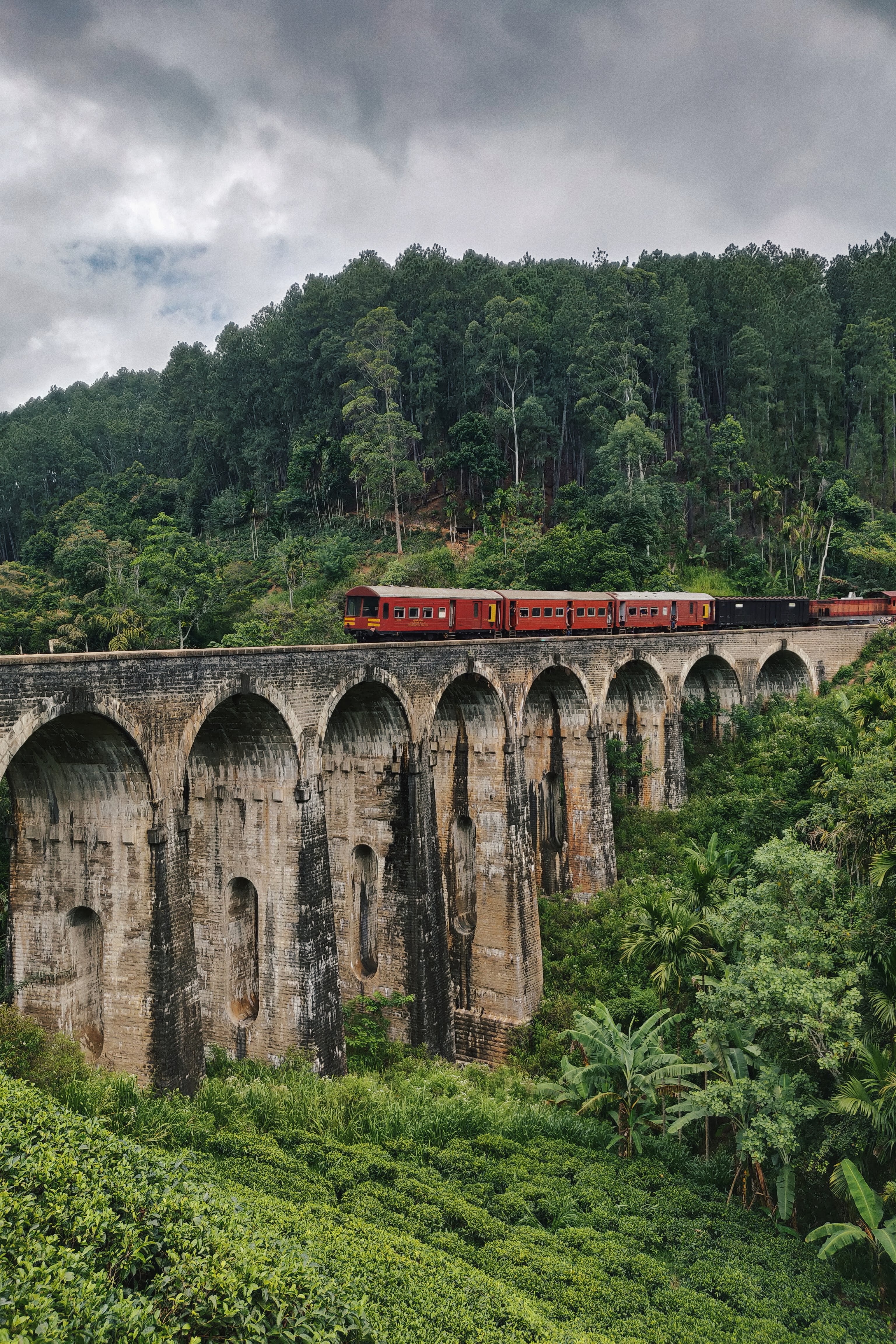 bridge, nature, miscellanea, miscellaneous, forest, train Free Stock Photo