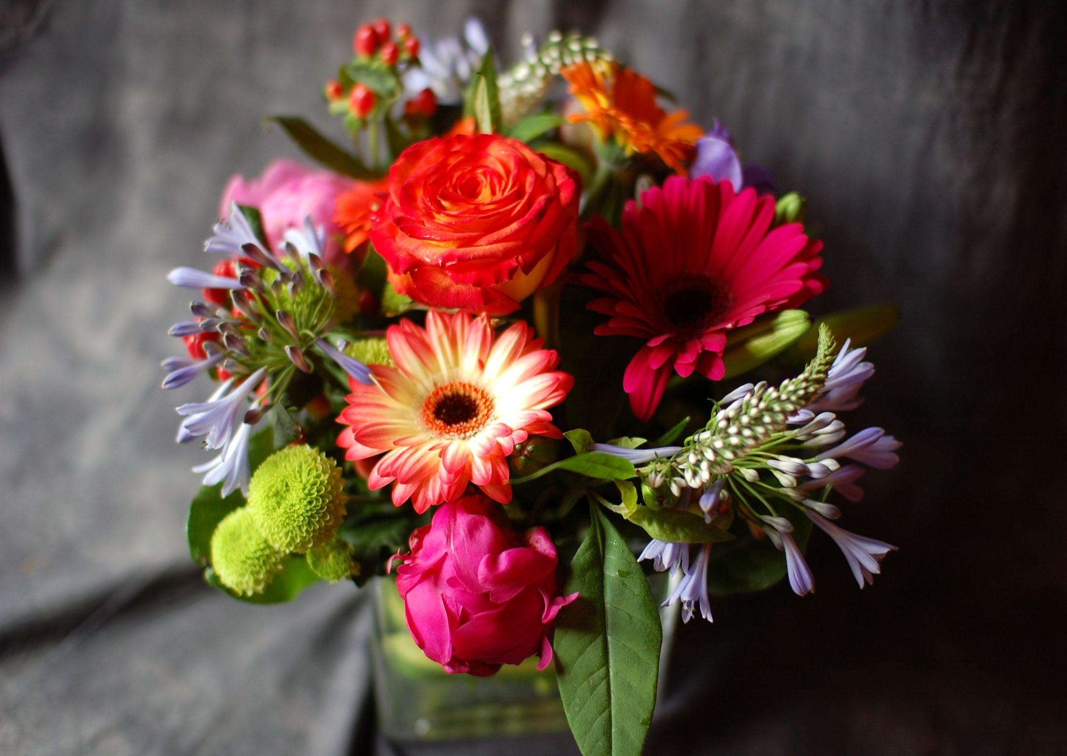 gerberas, bouquet, flowers, composition Free HD pic