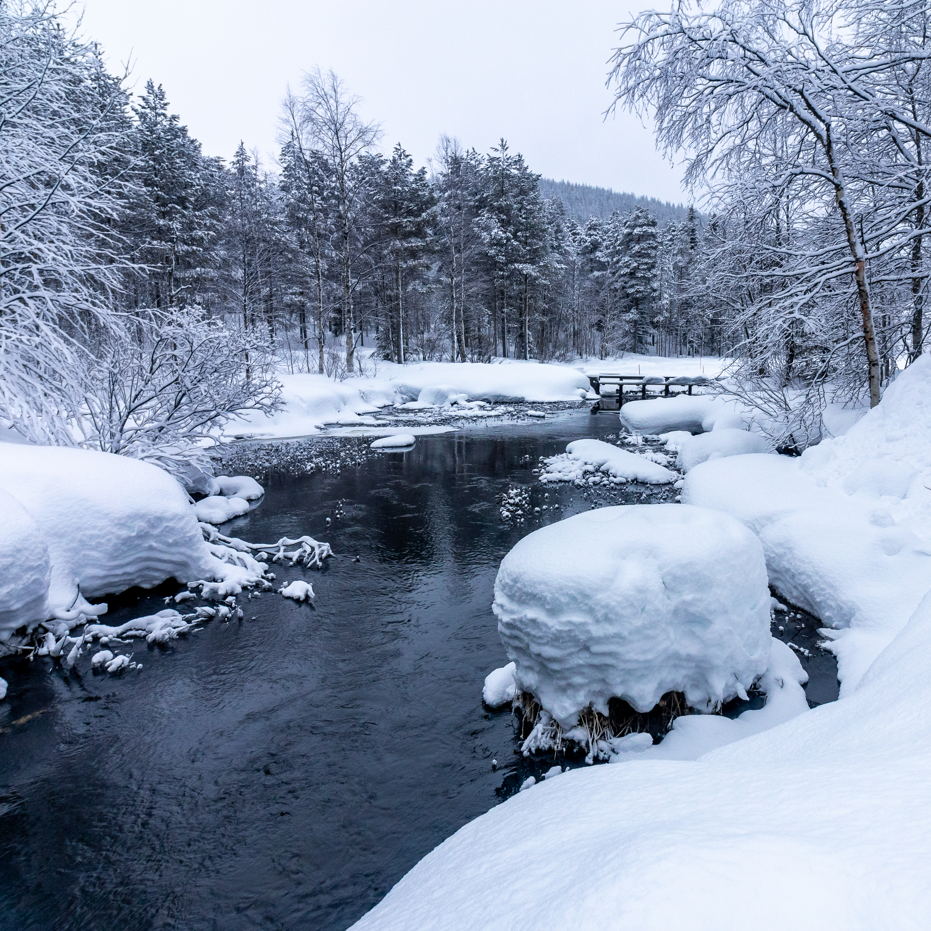 157336 descargar fondo de pantalla puente, naturaleza, ríos, nieve, bosque: protectores de pantalla e imágenes gratis