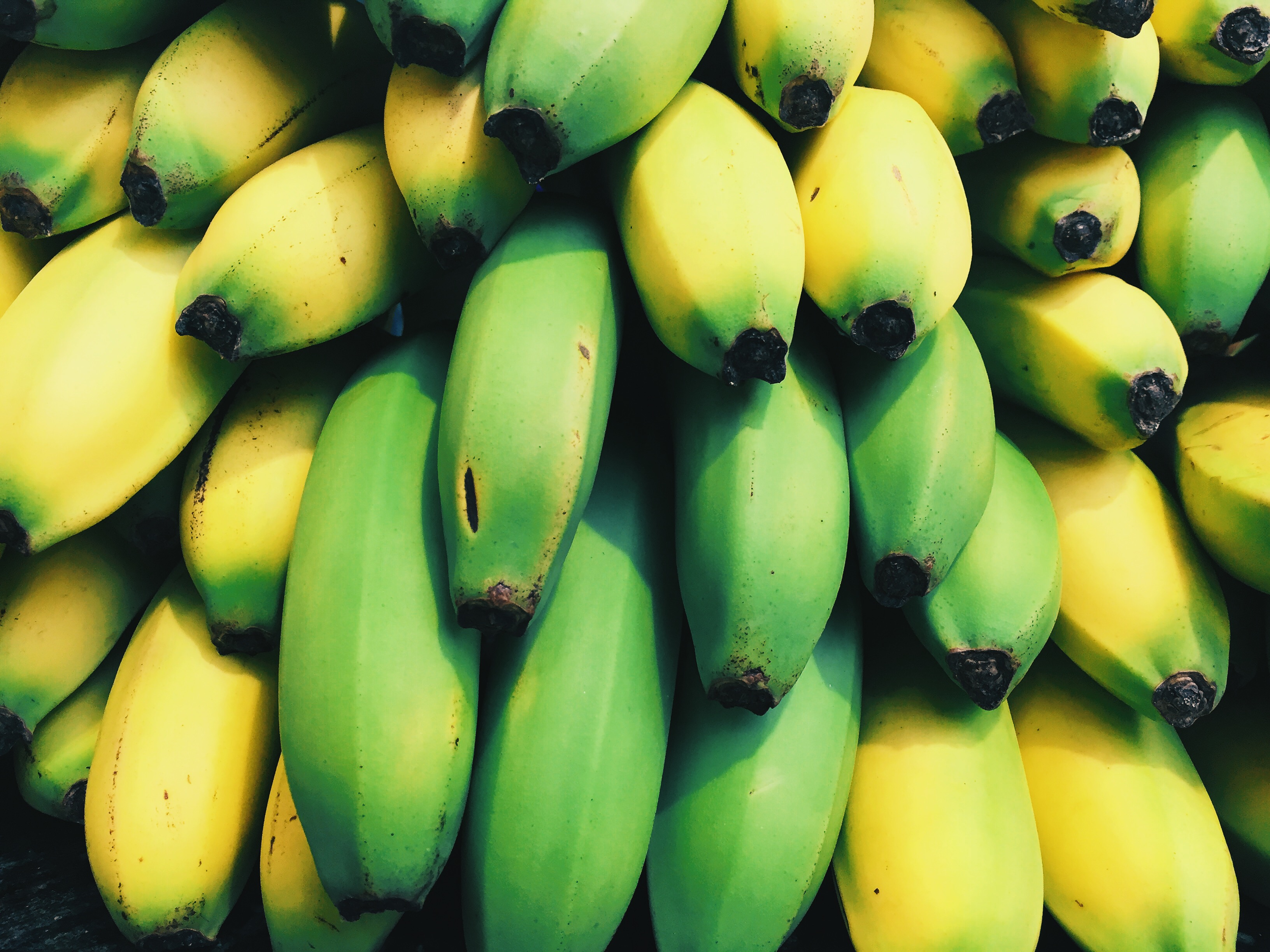 Handy-Wallpaper Obst, Lebensmittel, Bananas, Frucht kostenlos herunterladen.