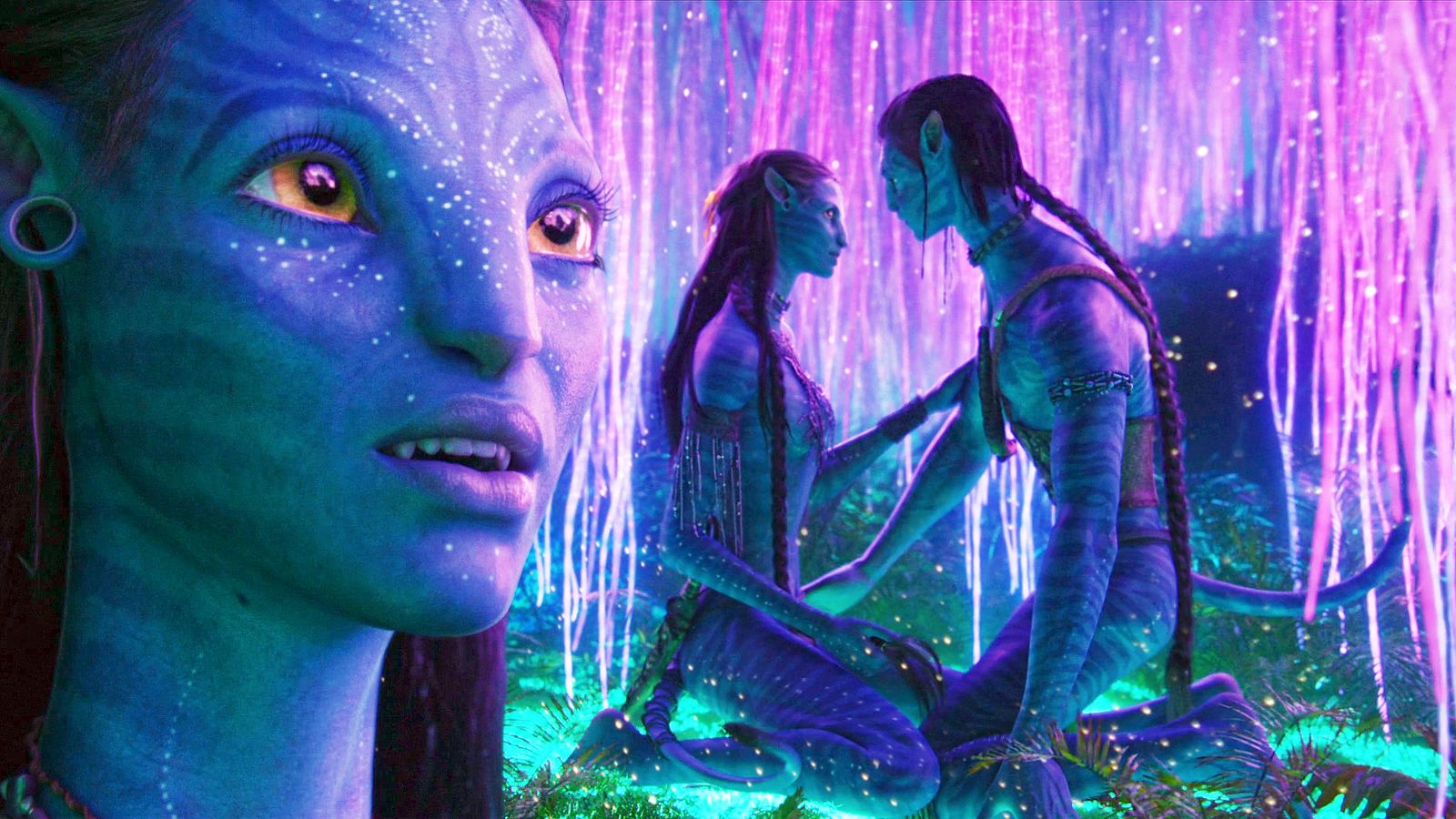 HD desktop wallpaper: Nature, Avatar, Glow, Tail, Yellow Eyes, Necklace,  Braid, Movie, Jake Sully, Na'vi, Neytiri (Avatar), Long Hair, Brown Hair  download free picture #206681