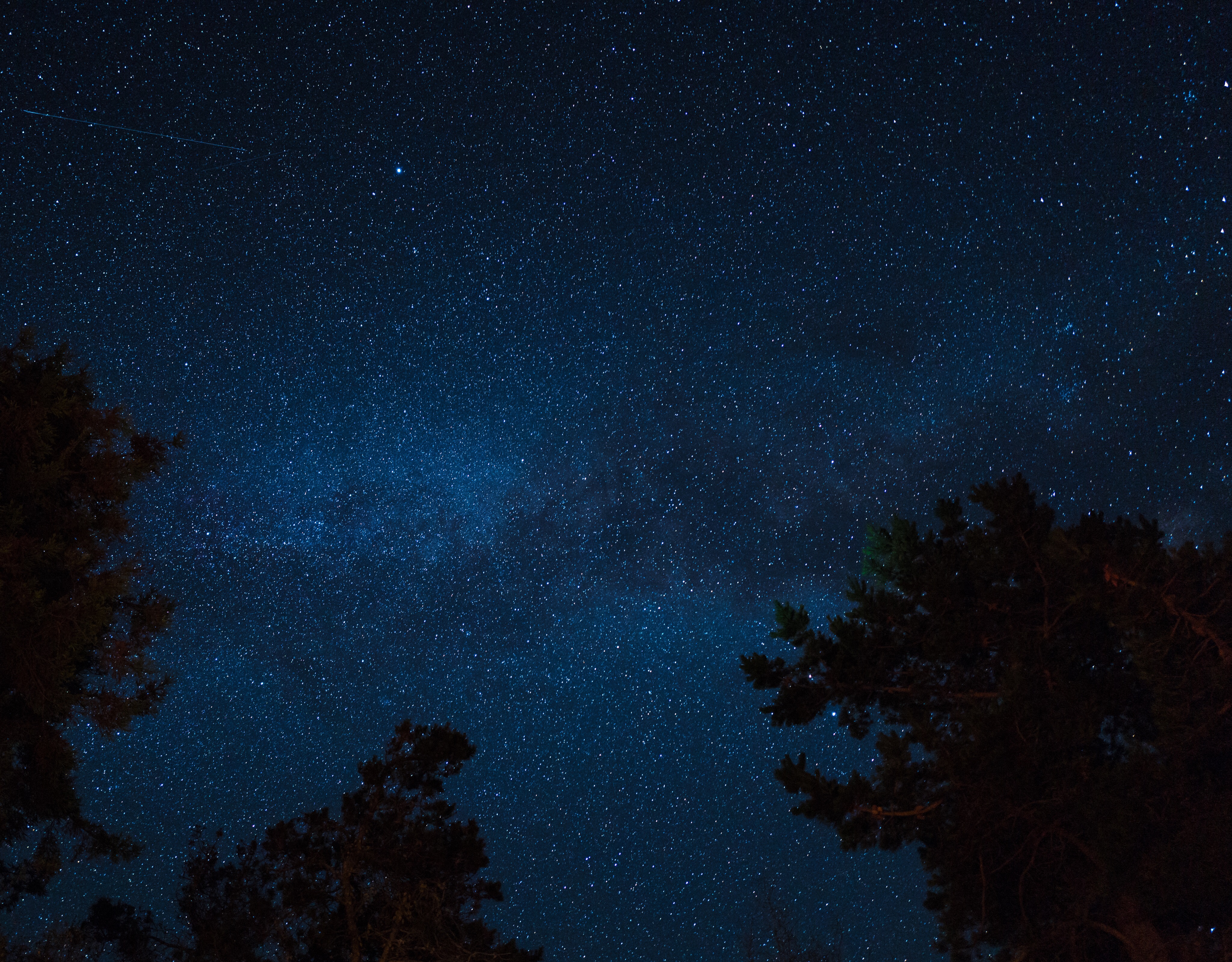 145616 Salvapantallas y fondos de pantalla Estrellas en tu teléfono. Descarga imágenes de cielo estrellado, árboles, universo, noche gratis