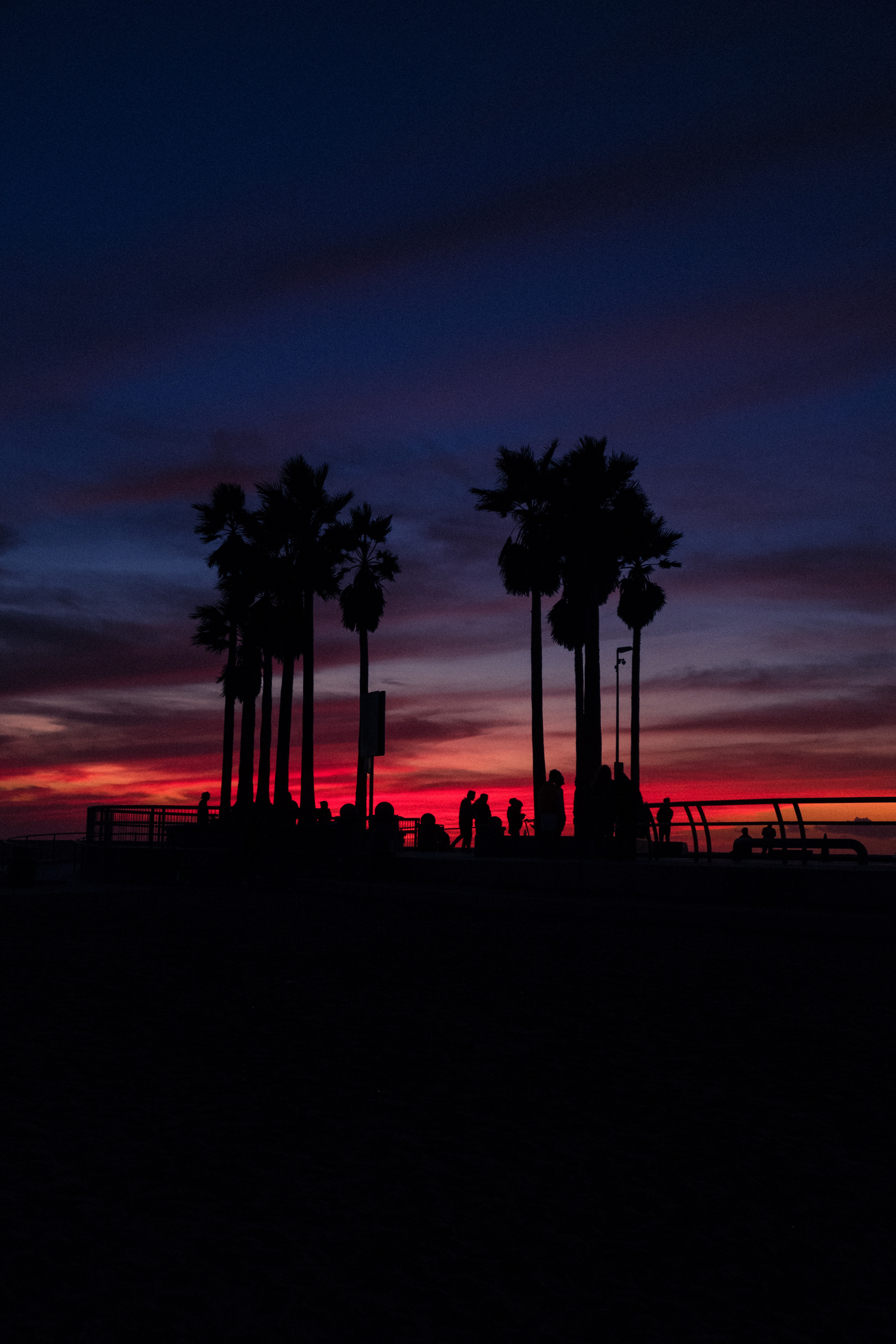silhouettes, people, sunset, sky, palms, dark, tropics Smartphone Background
