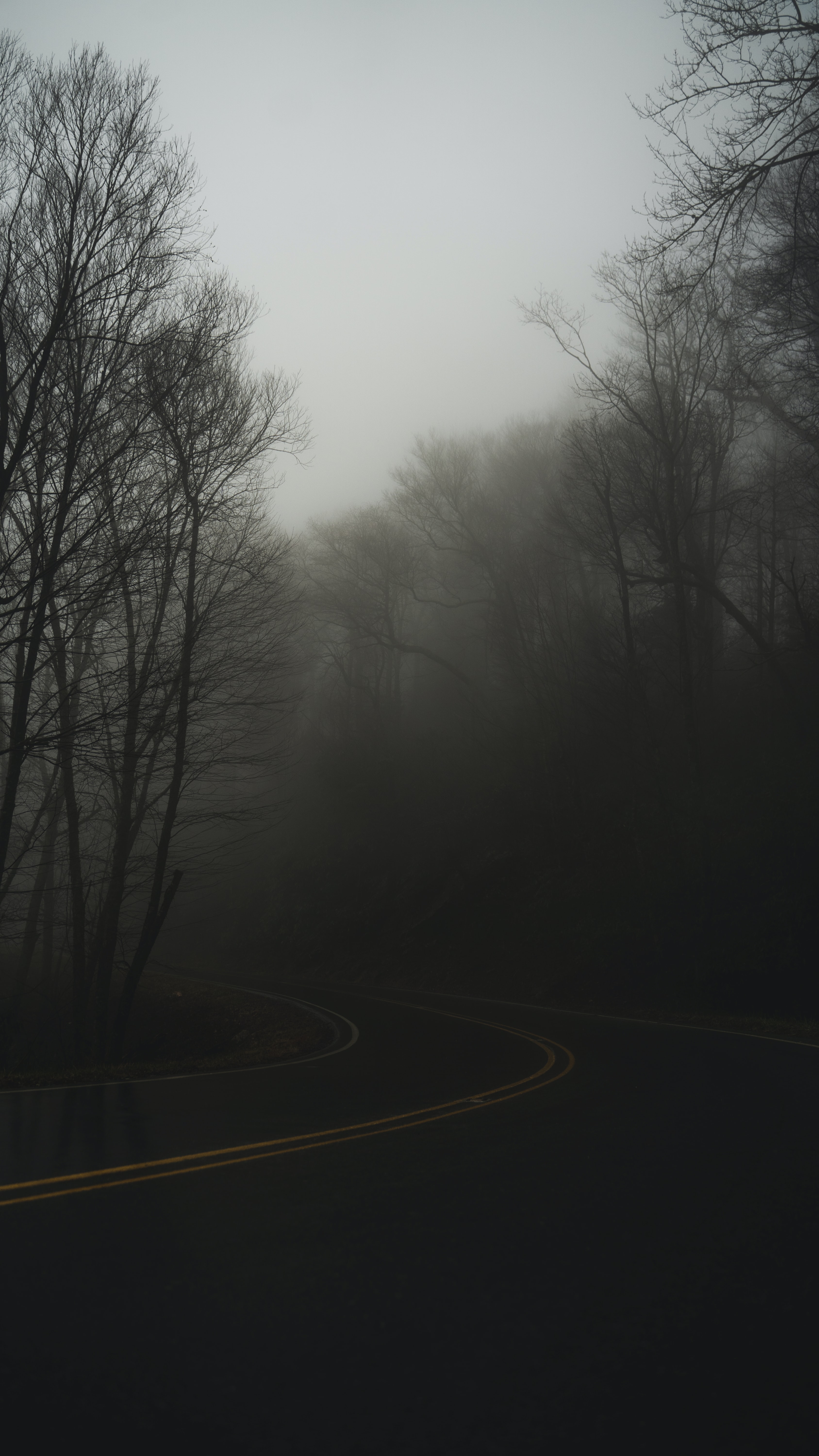 turn, fog, dusk, twilight, haze, road, nature 8K