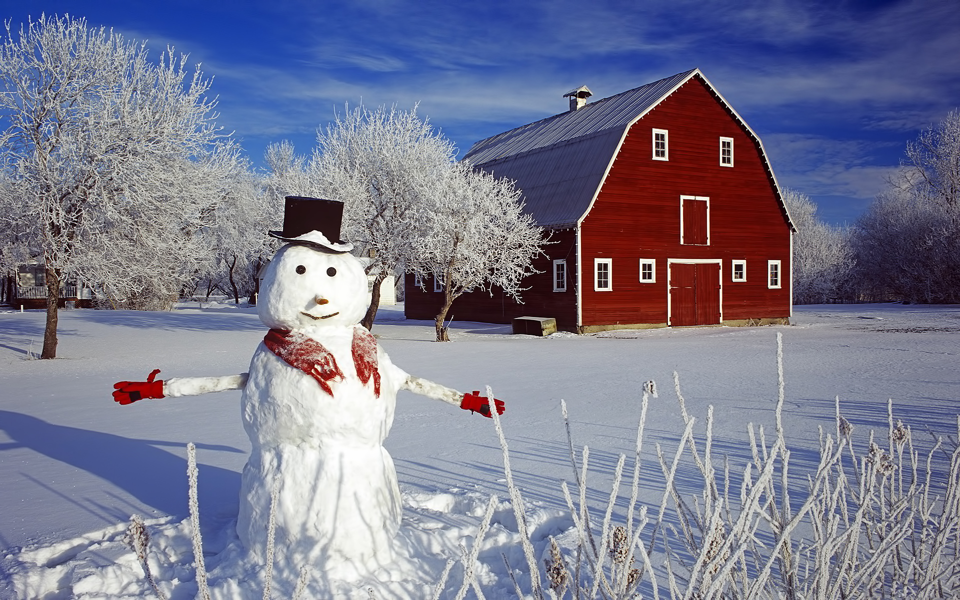 44668 скачать обои снеговики, пейзаж, дома, снег - заставки и картинки бесплатно