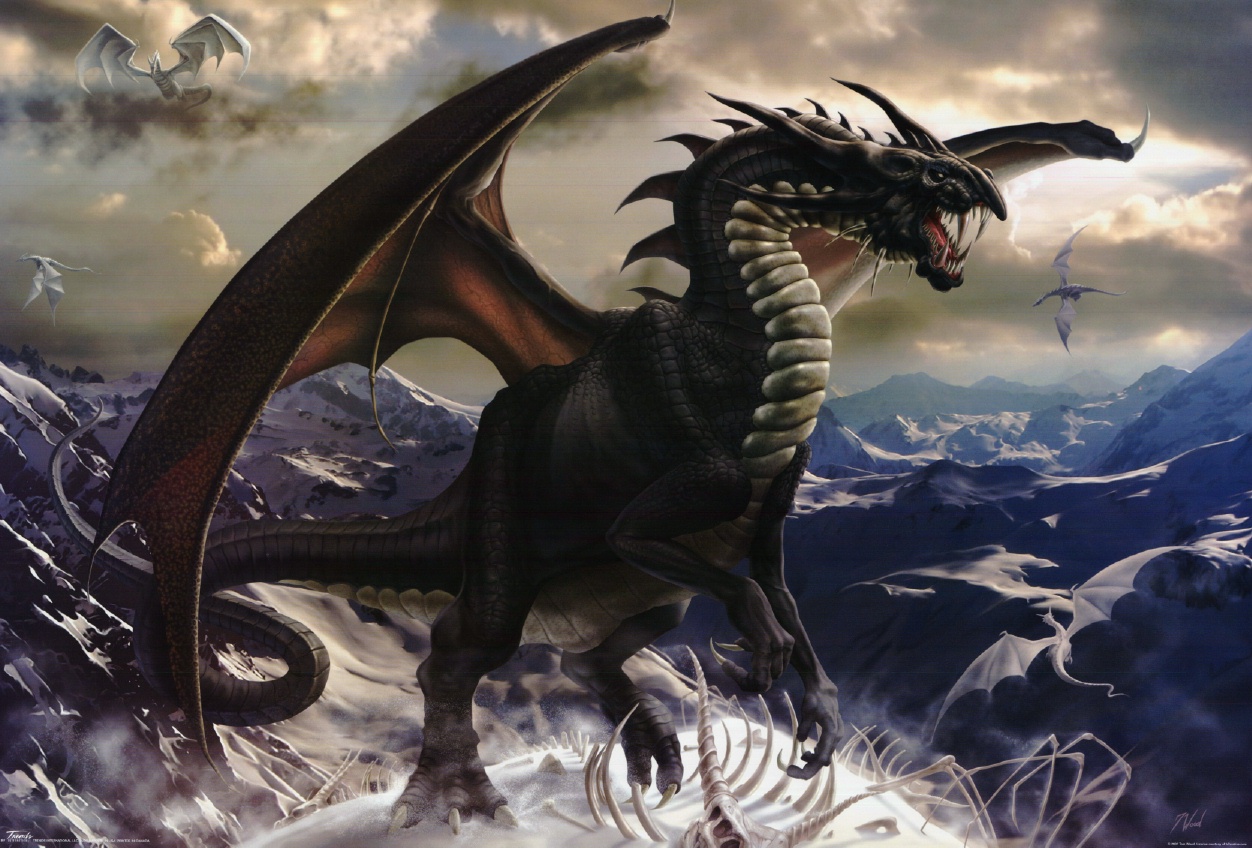 fantasy, dragon, mountain, skeleton, snow Full HD
