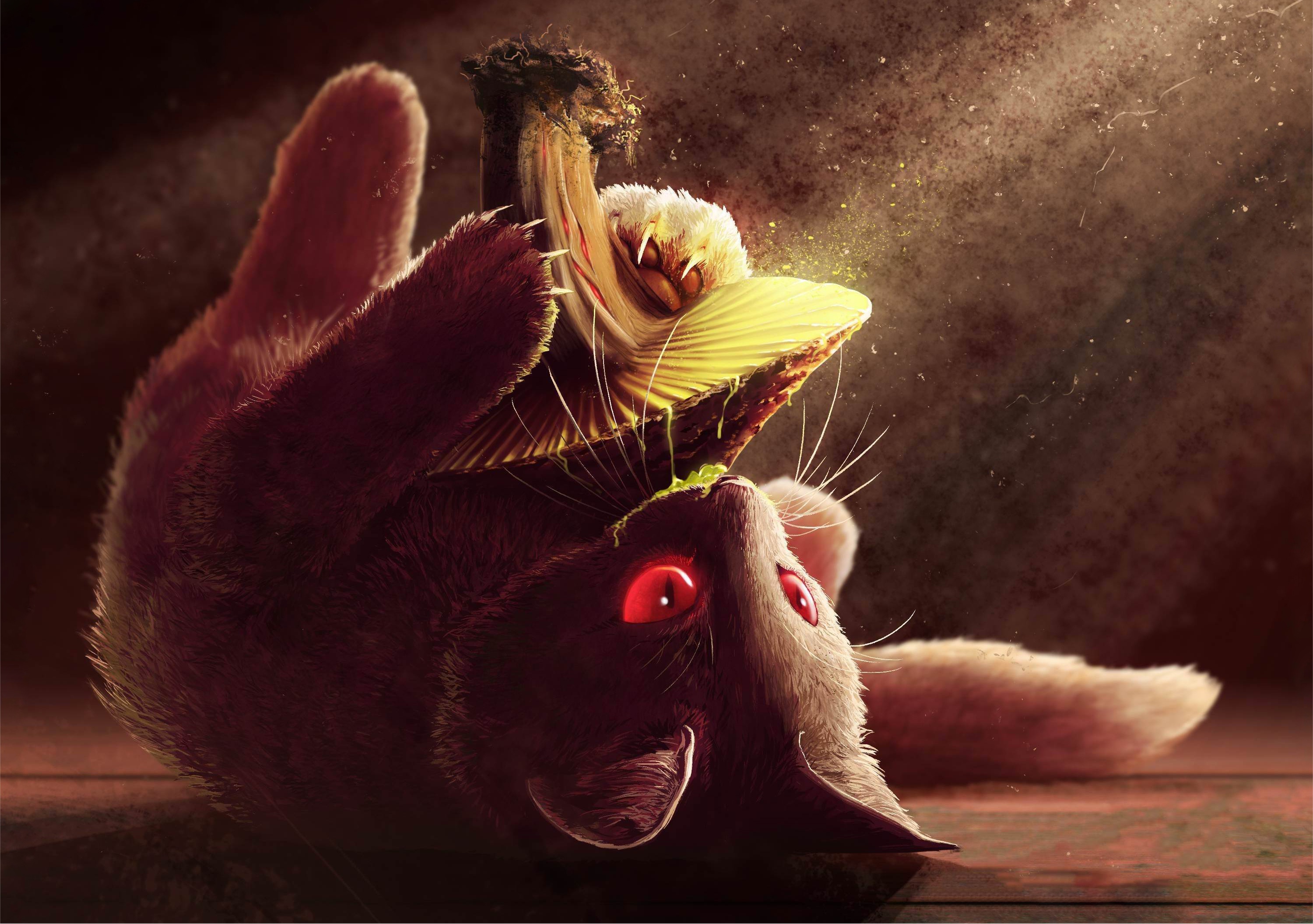 HD desktop wallpaper: Fantasy, Cat, Mushroom, Red Eyes, Fantasy Animals  download free picture #433136