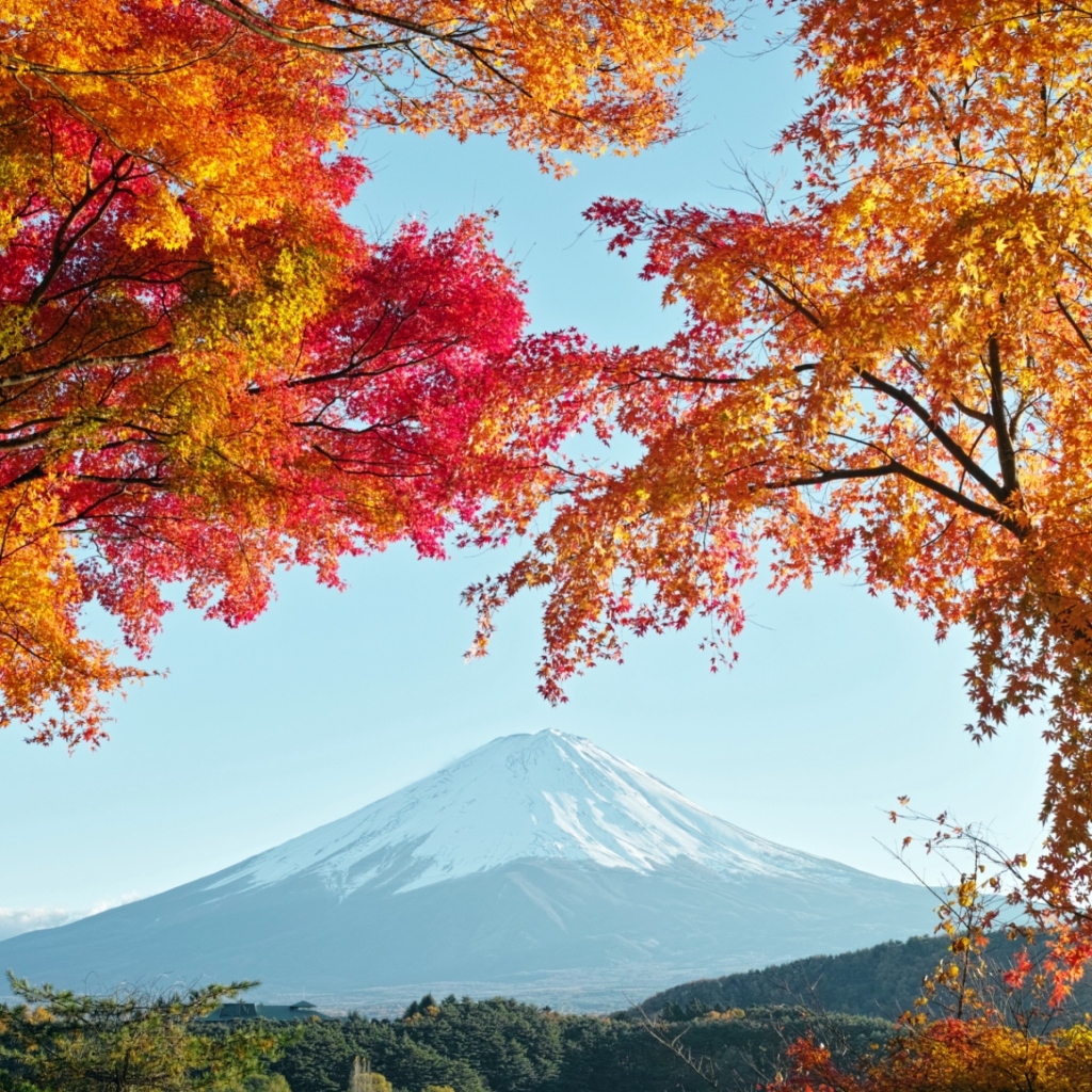 お使いの携帯電話の1099299スクリーンセーバーと壁紙富士山。 の写真を無料でダウンロード