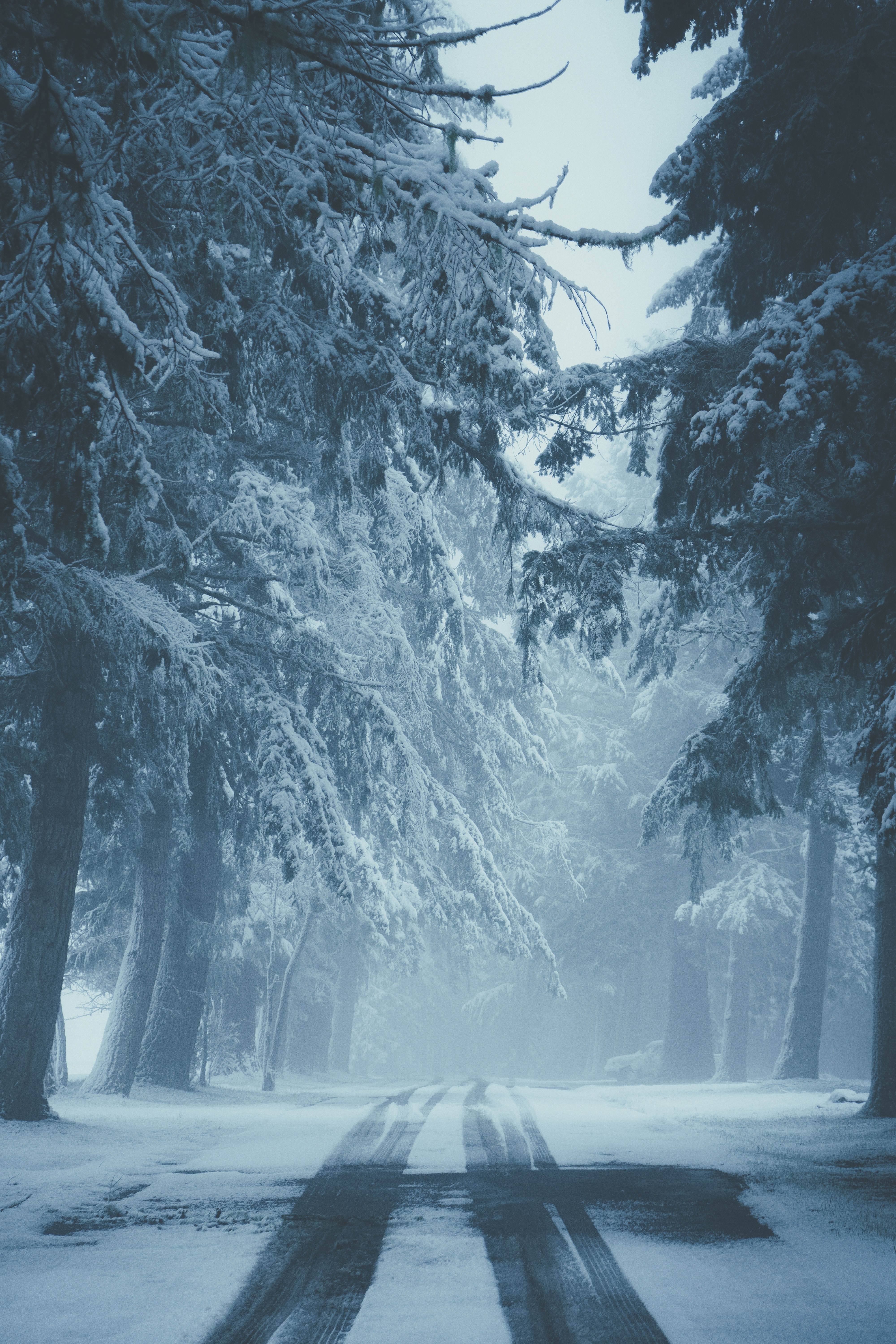 71842 Bilder 1920x1080 kostenlos auf Ihrem PC, laden Sie winter, natur, bäume, schnee, straße, nebel, spuren Hintergrundbild 1920x1080 auf Ihren Desktop herunter