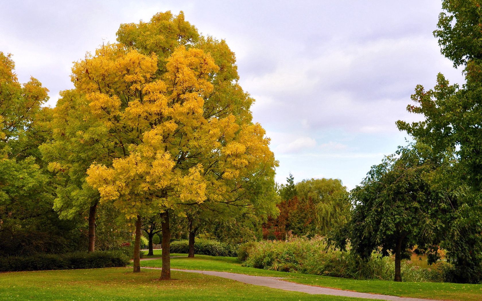 156062 скачать обои октябрь, парк, осень, природа, деревья, небо, аллея, дорожка, хмурое - заставки и картинки бесплатно