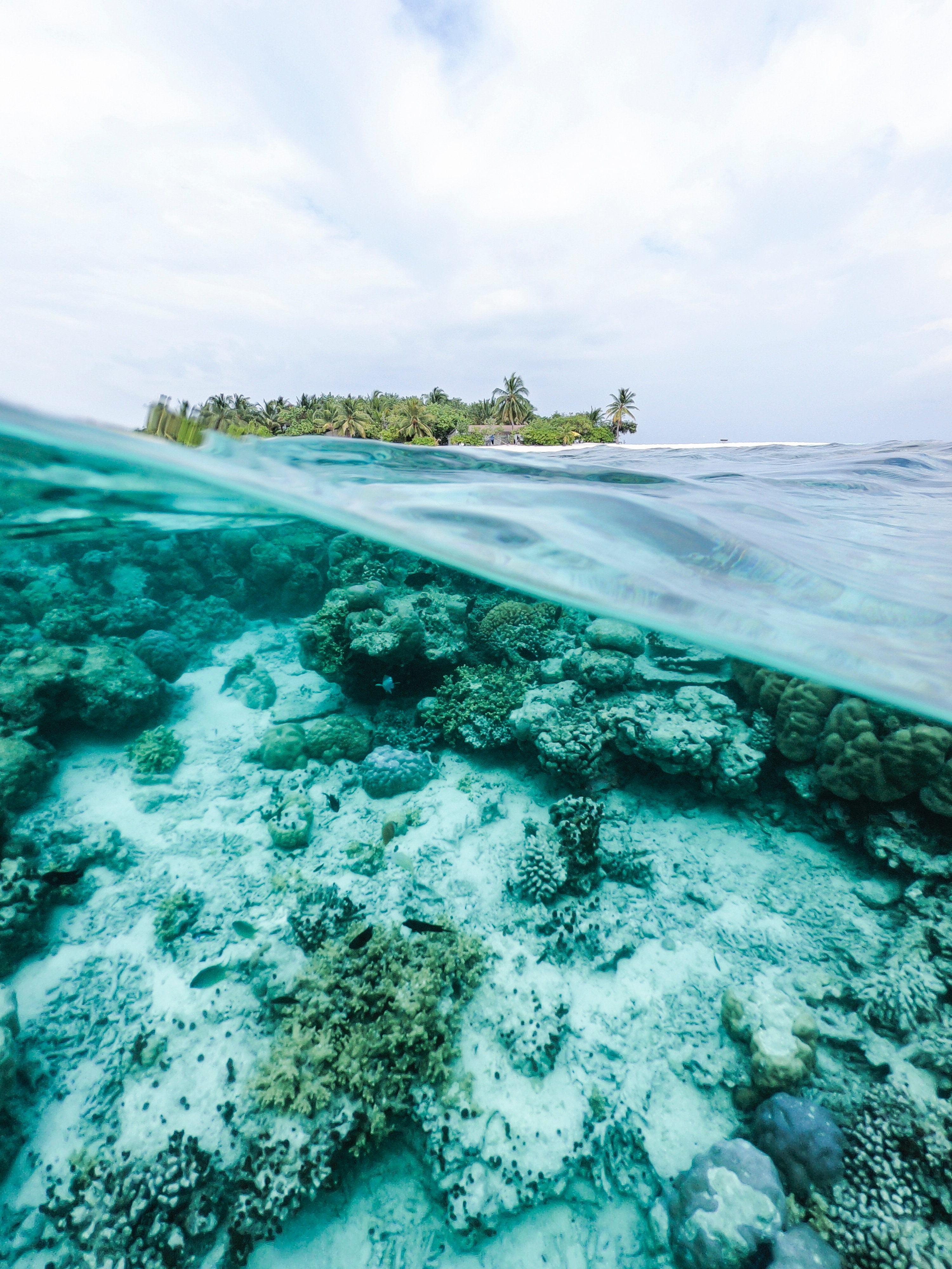 Download mobile wallpaper Underwater World, Water, Nature, Sky, Ocean, Island for free.