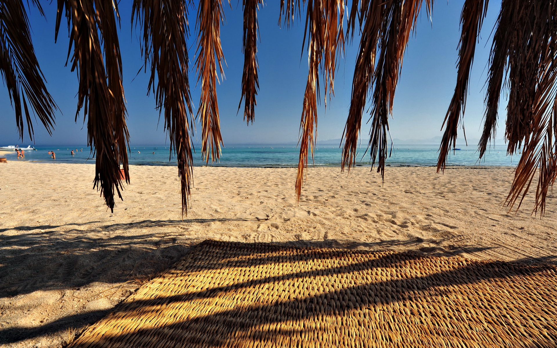 Красное море пляж Египет пальмы
