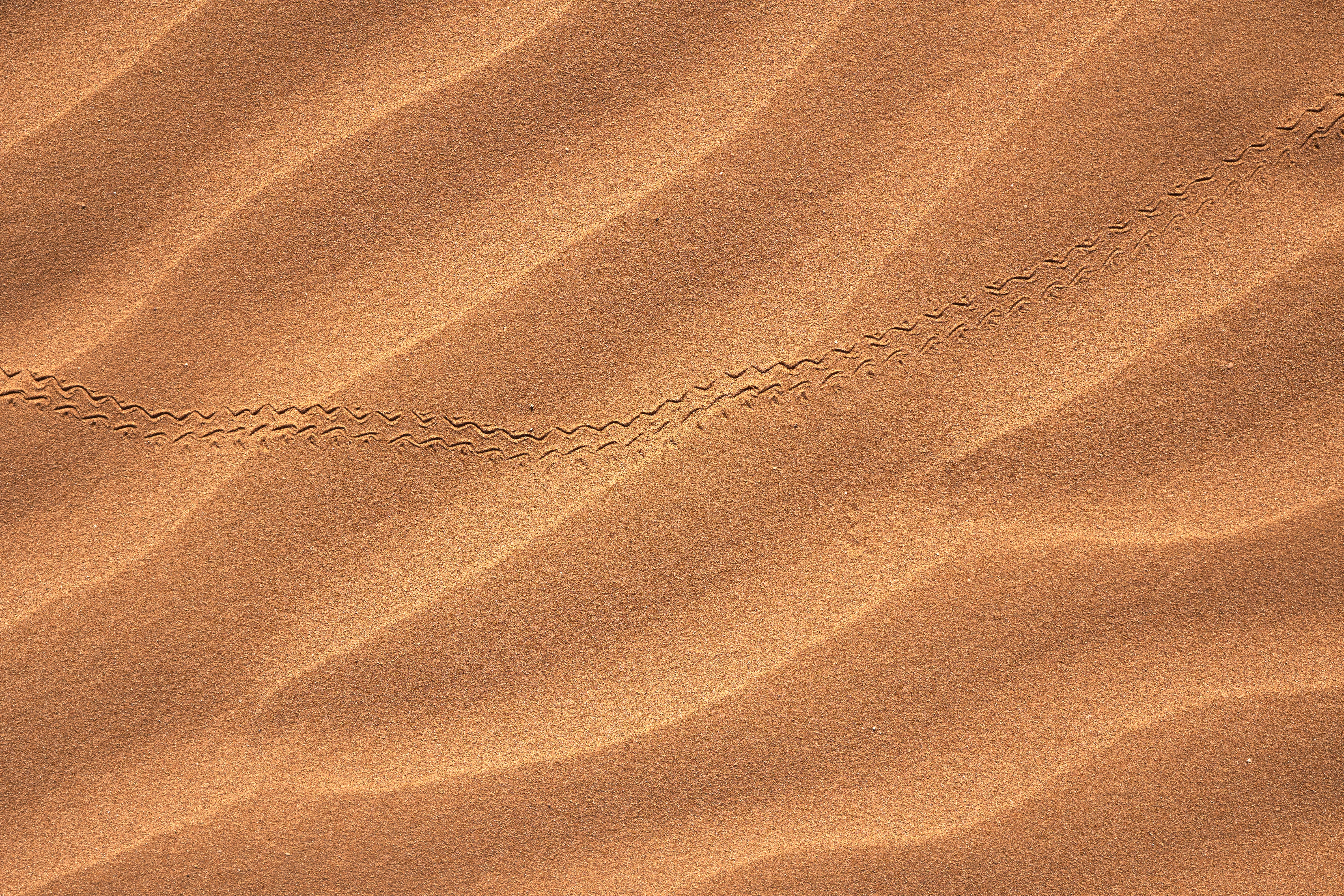 dunes, nature, sand, desert, track, trace HD wallpaper