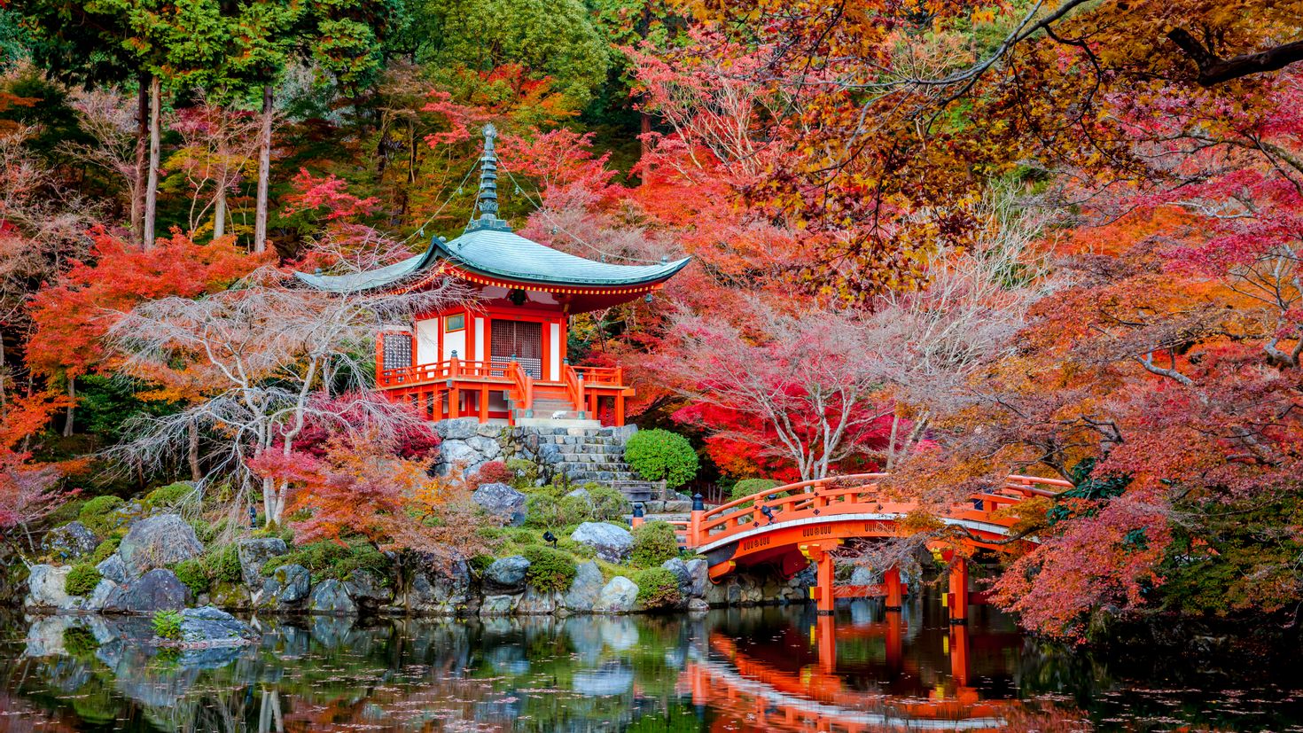 Япония сады японии на